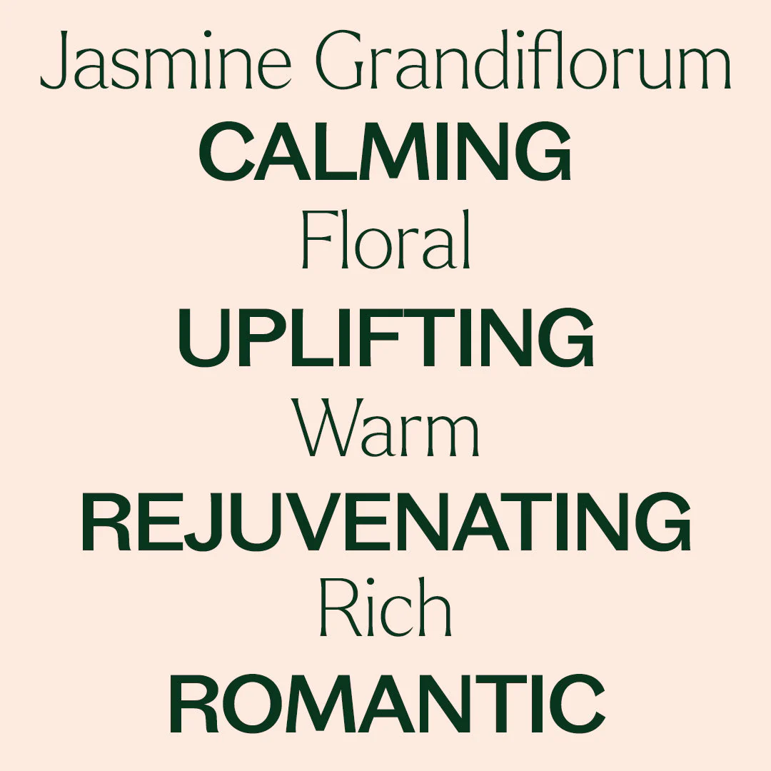 Jasmine Grandiflorum Absolute - Image 3