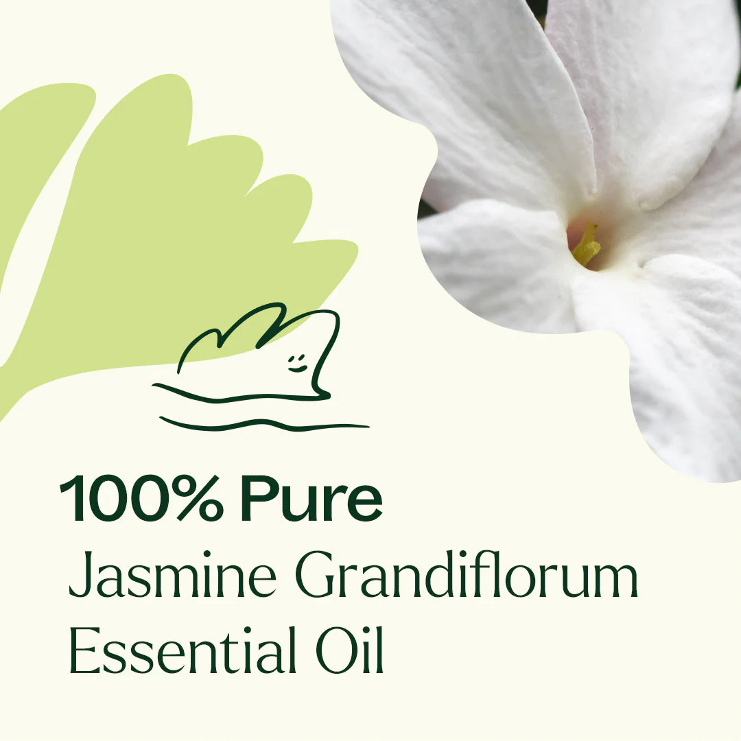 Jasmine Grandiflorum Absolute - Image 5