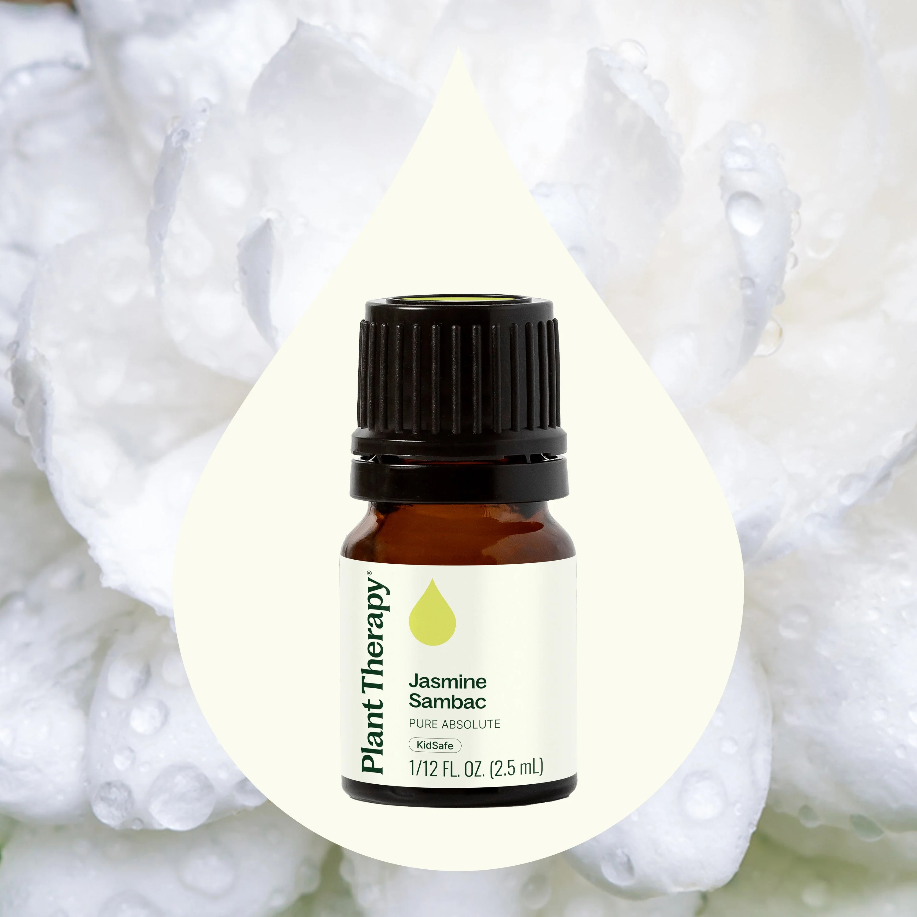 Jasmine Sambac Pure Absolute - Image 2