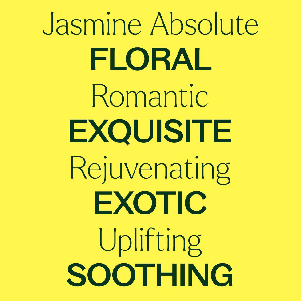 Jasmine Sambac Pure Absolute - Image 3