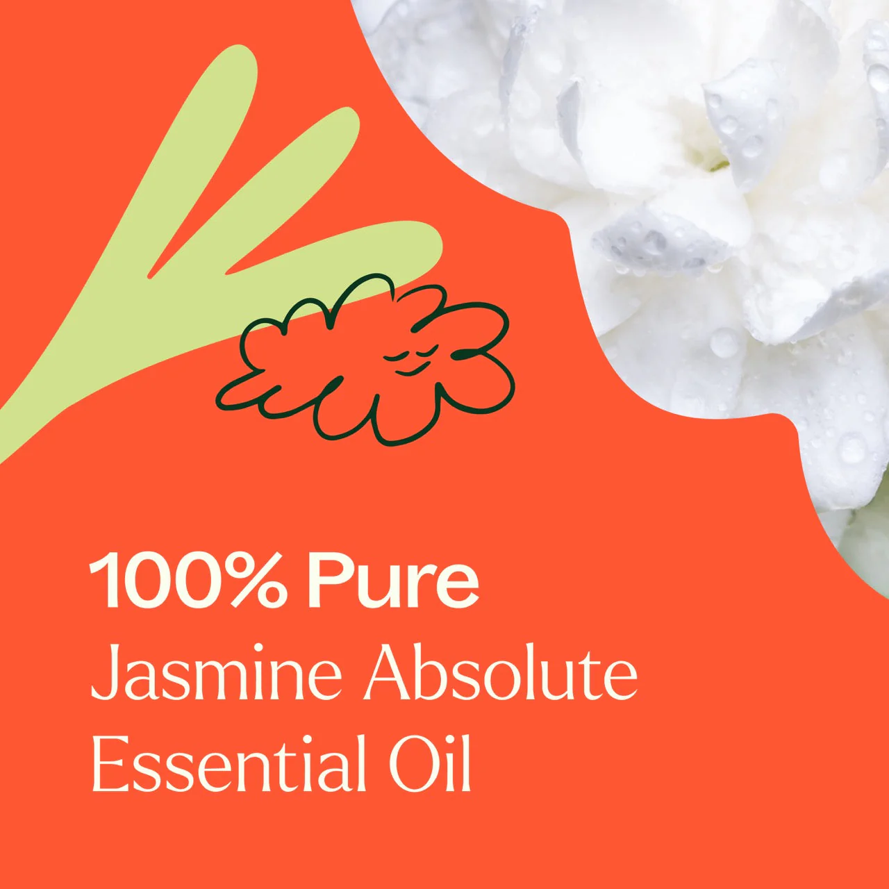 Jasmine Sambac Pure Absolute - Image 4