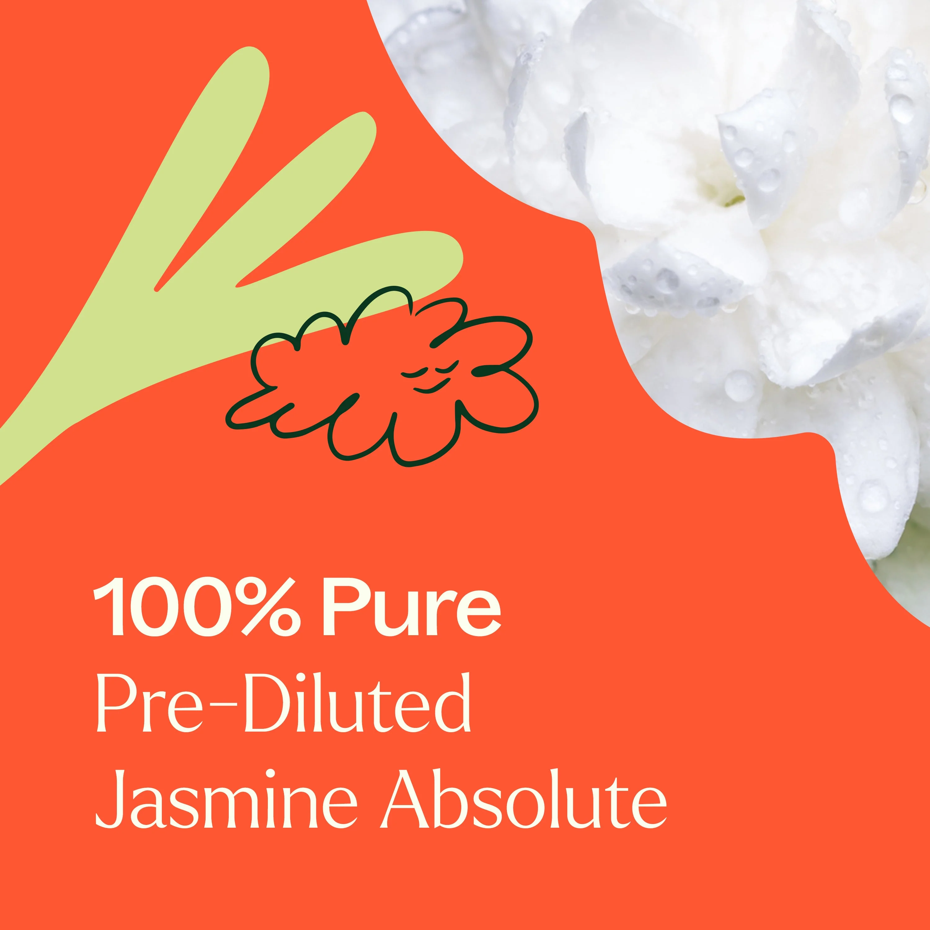 Jasmine Sambac Pure Absolute Pre-Diluted Roll-On - Image 3