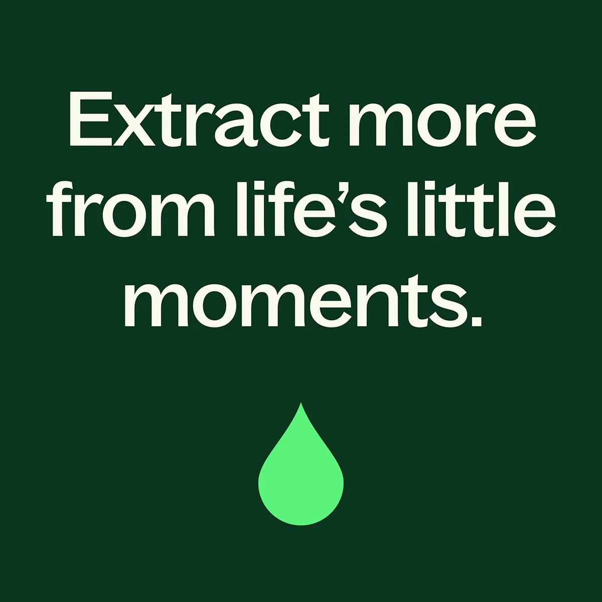 Joyful Creation (Sacral Chakra) Essential Oil - Image 7