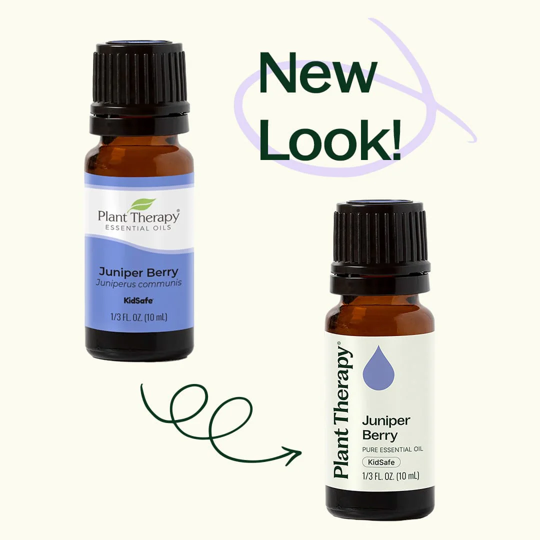 Juniper Berry Essential Oil - Image 4