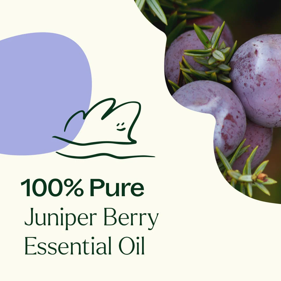 Juniper Berry Essential Oil - Image 5