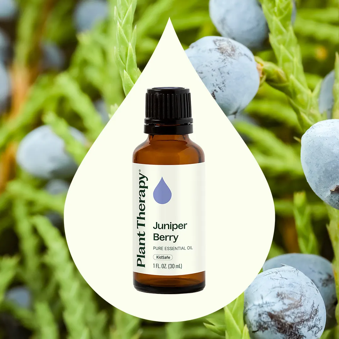 Juniper Berry Essential Oil - Image 8