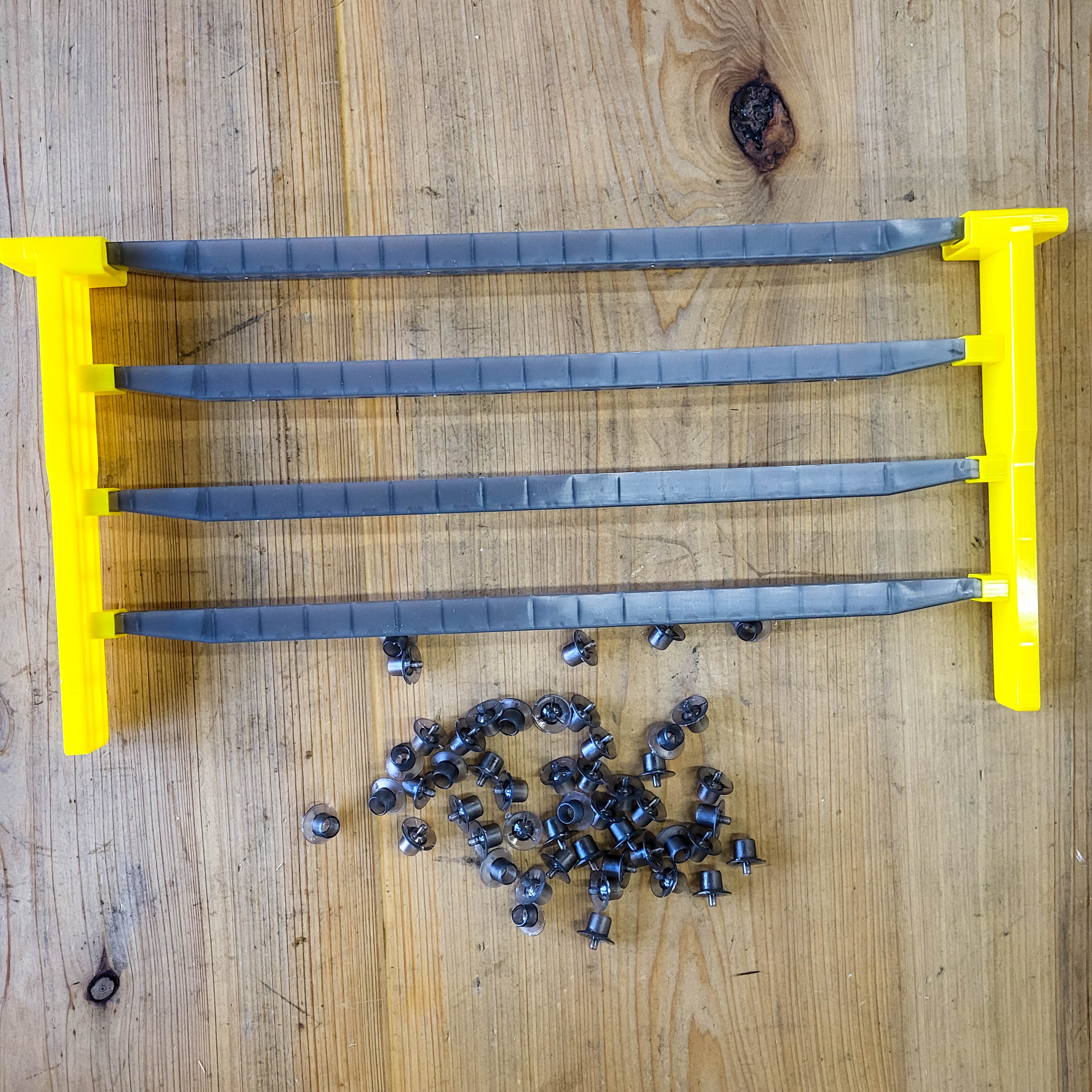JZBZ Queen Cell Frame Starter Kit - Image 2