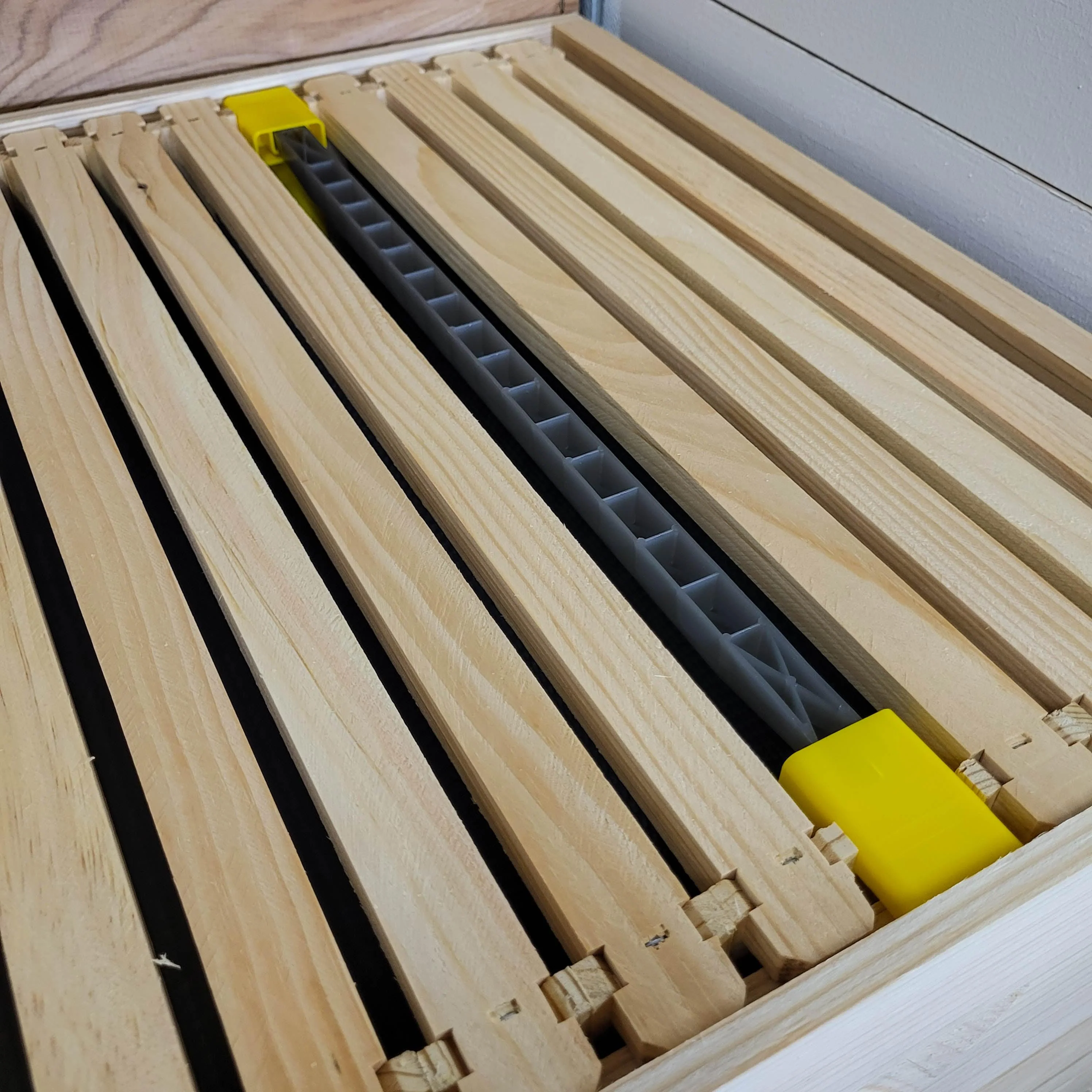 JZBZ Queen Cell Frame Starter Kit - Image 3