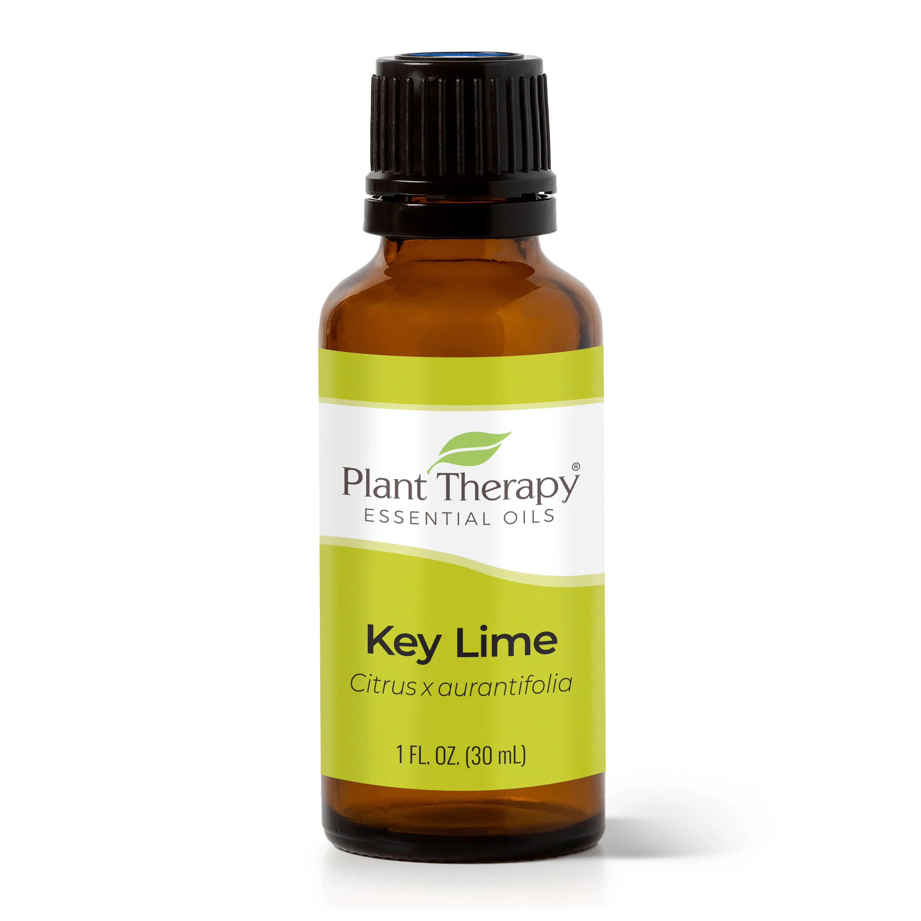 Key Lime Essential Oil - Image 4
