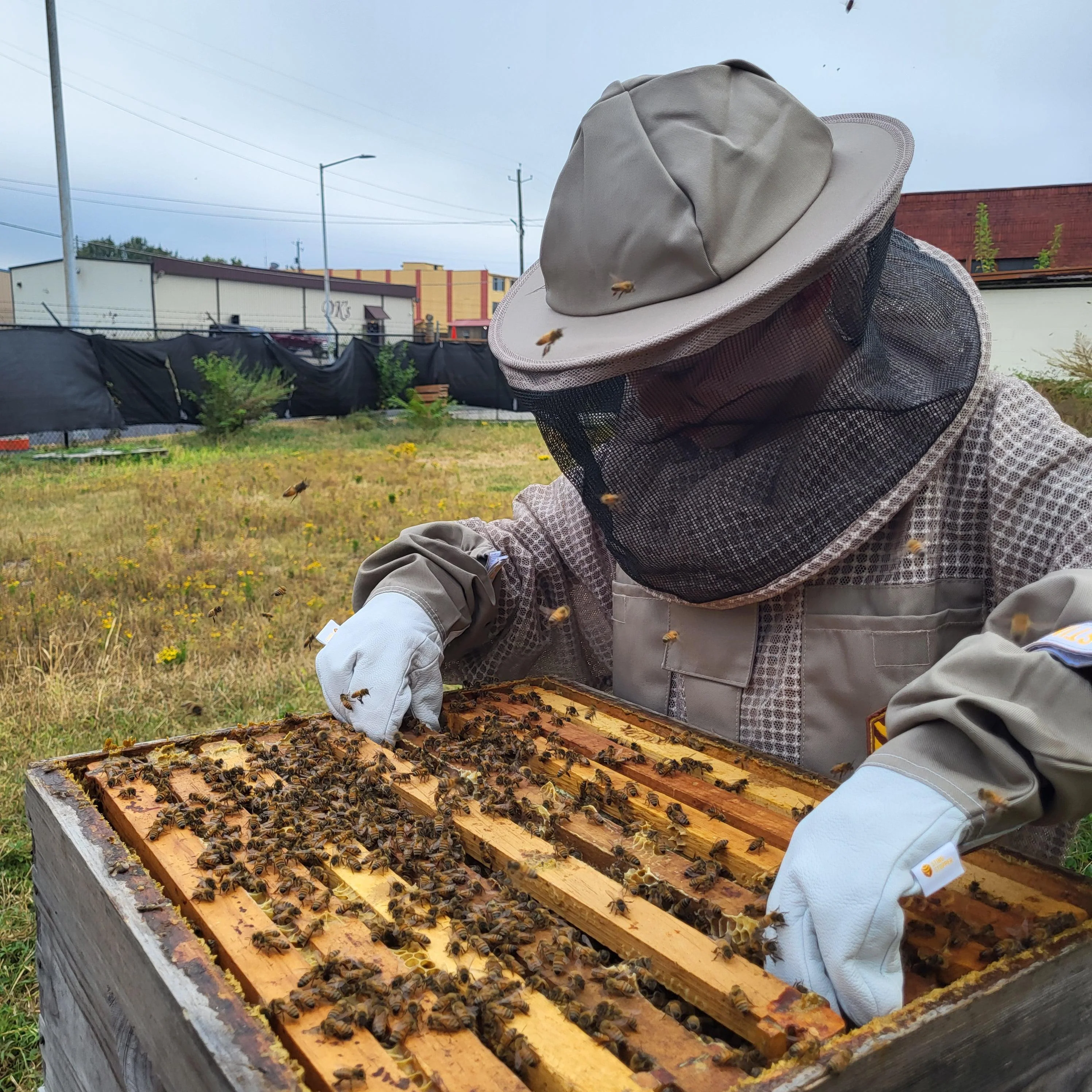 Kids Beekeeping Gloves - Image 8