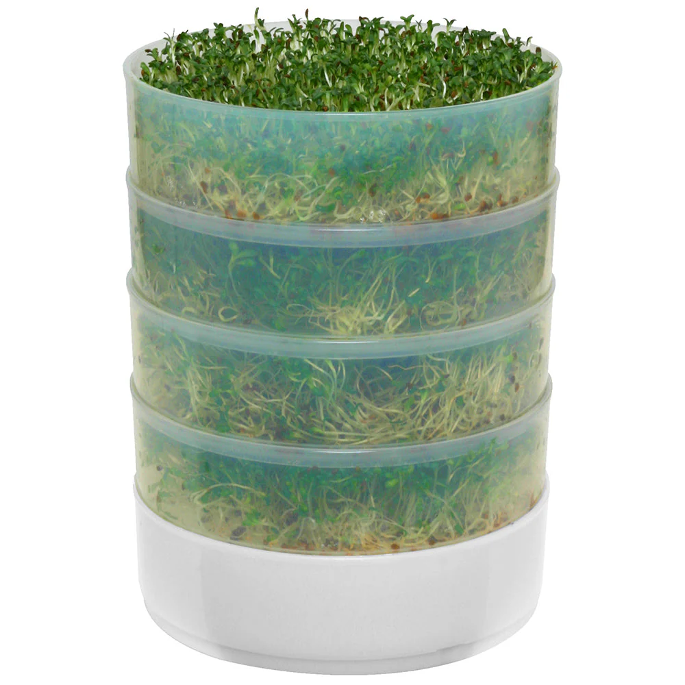 Kitchen Crop 4-Tray Sprouter - Image 2