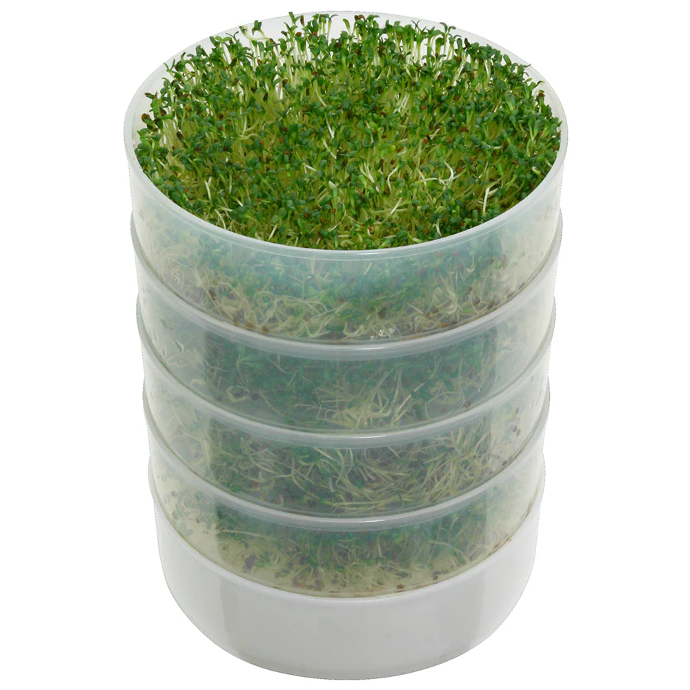 Kitchen Crop 4-Tray Sprouter - Image 4