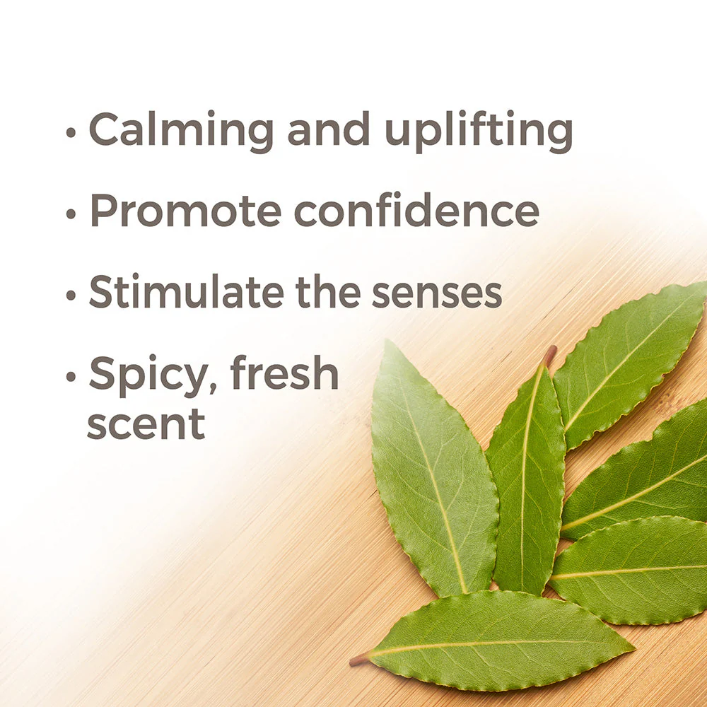 Laurel Leaf Essential Oil - Image 2