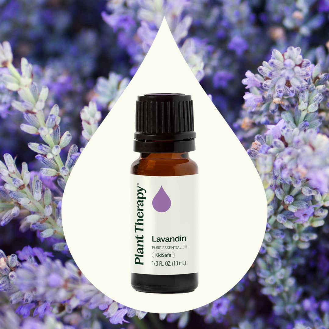 Lavandin Essential Oil - Image 2