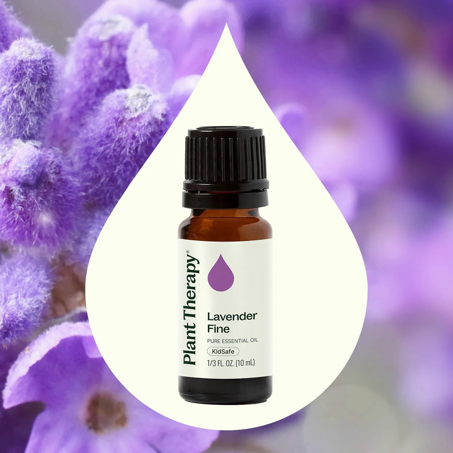 Lavender Fine Essential Oil - Image 2