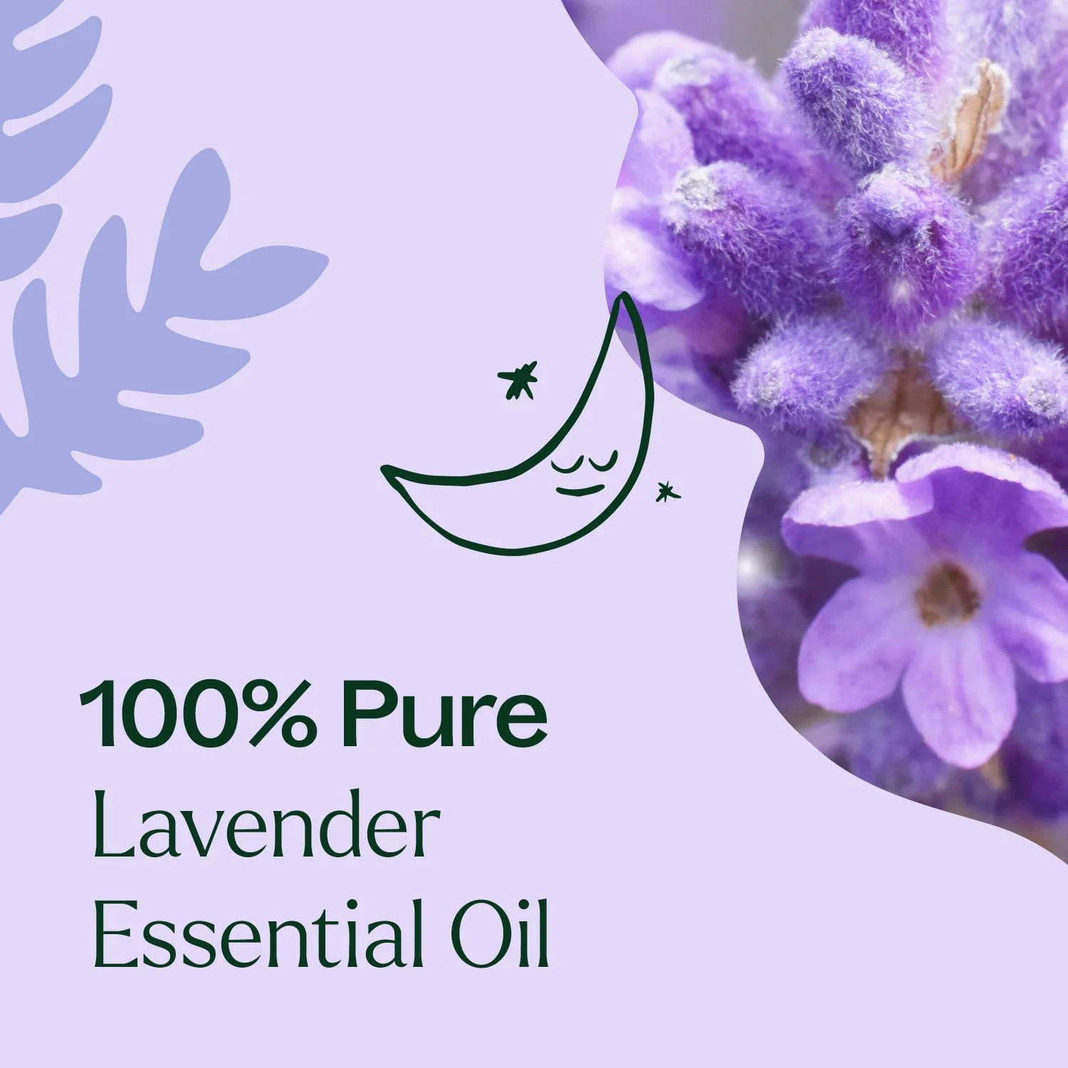 Lavender Fine Essential Oil - Image 3