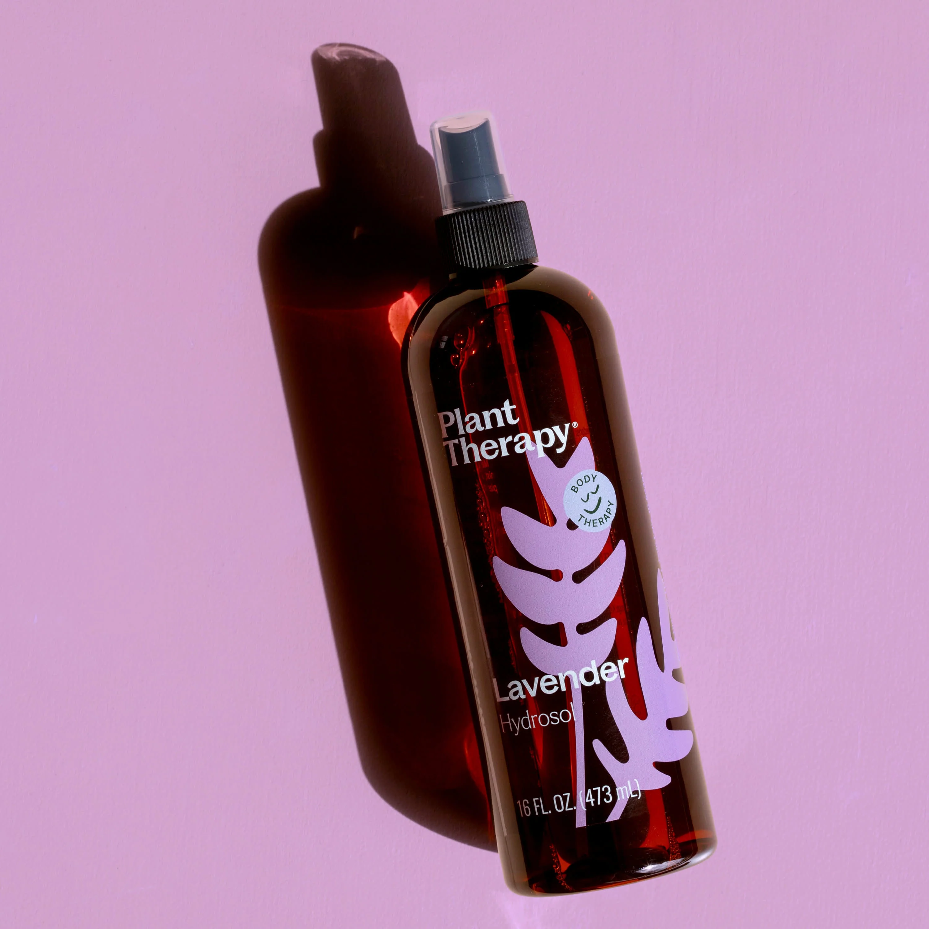 Lavender Hydrosol - Image 8