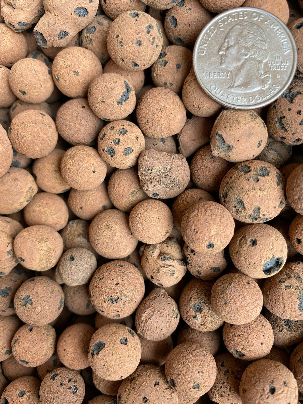 LECA Balls - Image 6