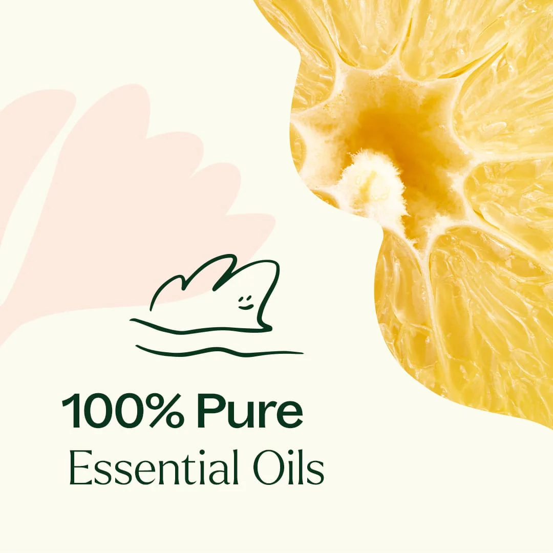Lemon Cupcake Essential Oil Blend - Image 5
