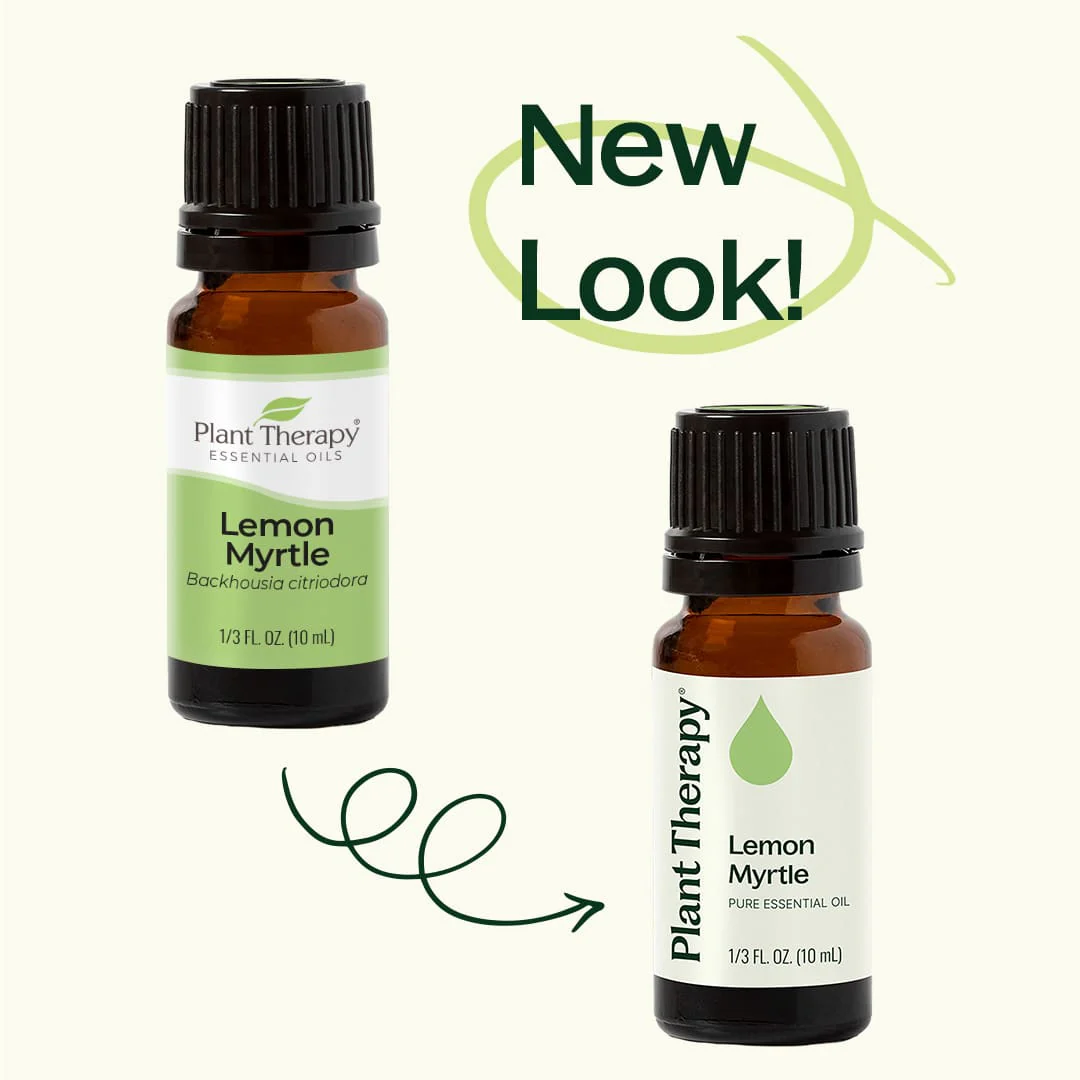 Lemon Myrtle Essential Oil - Image 4