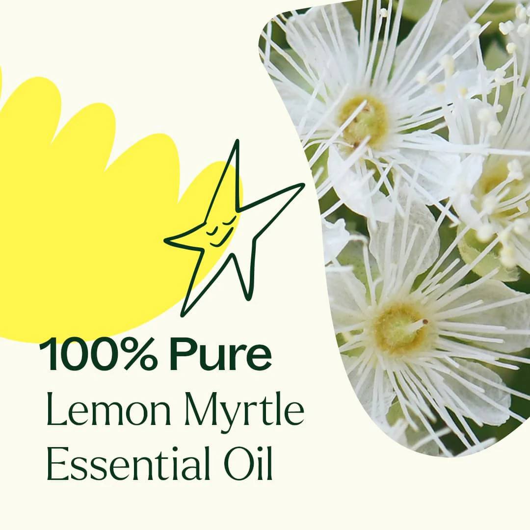 Lemon Myrtle Essential Oil - Image 5