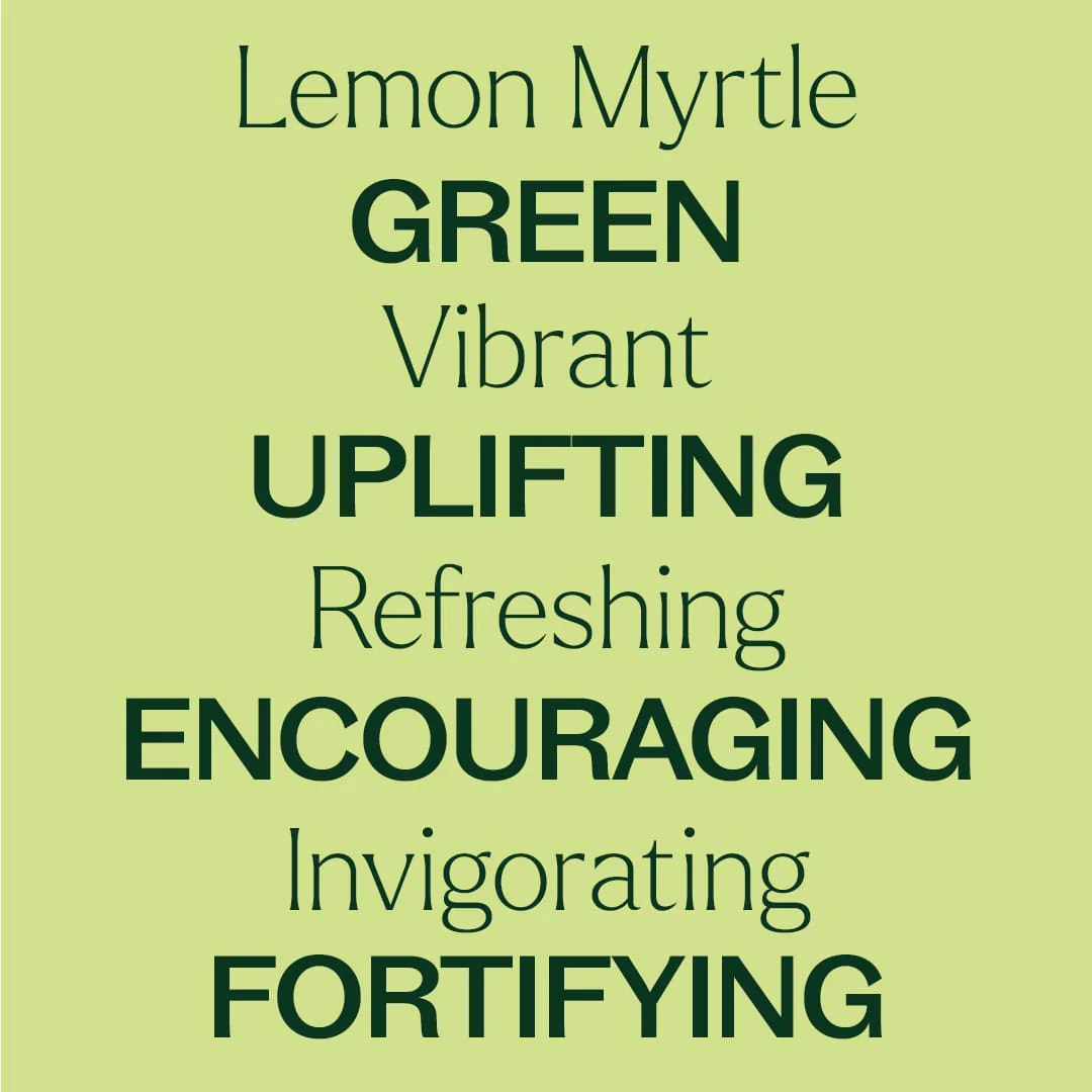 Lemon Myrtle Essential Oil - Image 6