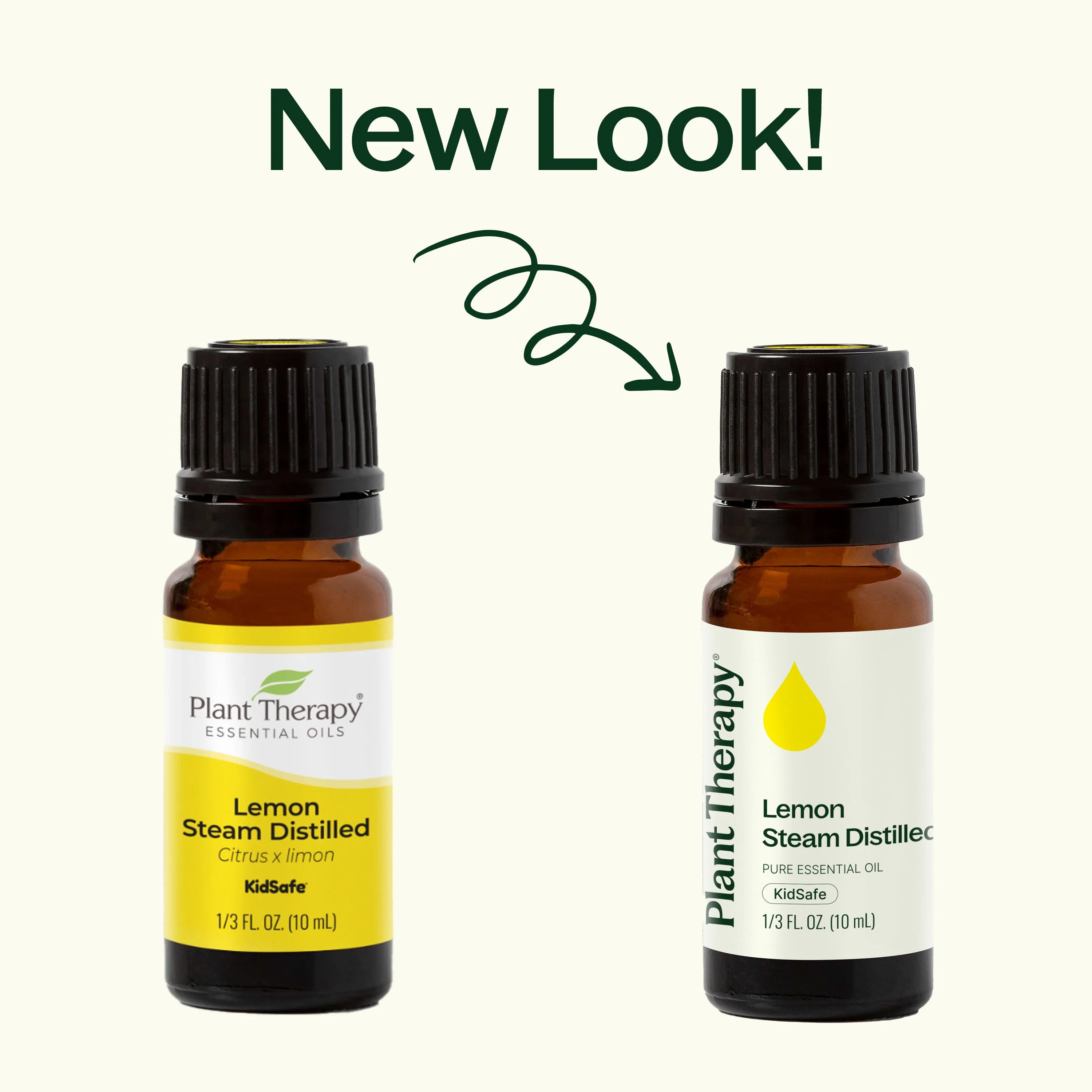 Lemon Steam Distilled Essential Oil - Image 3