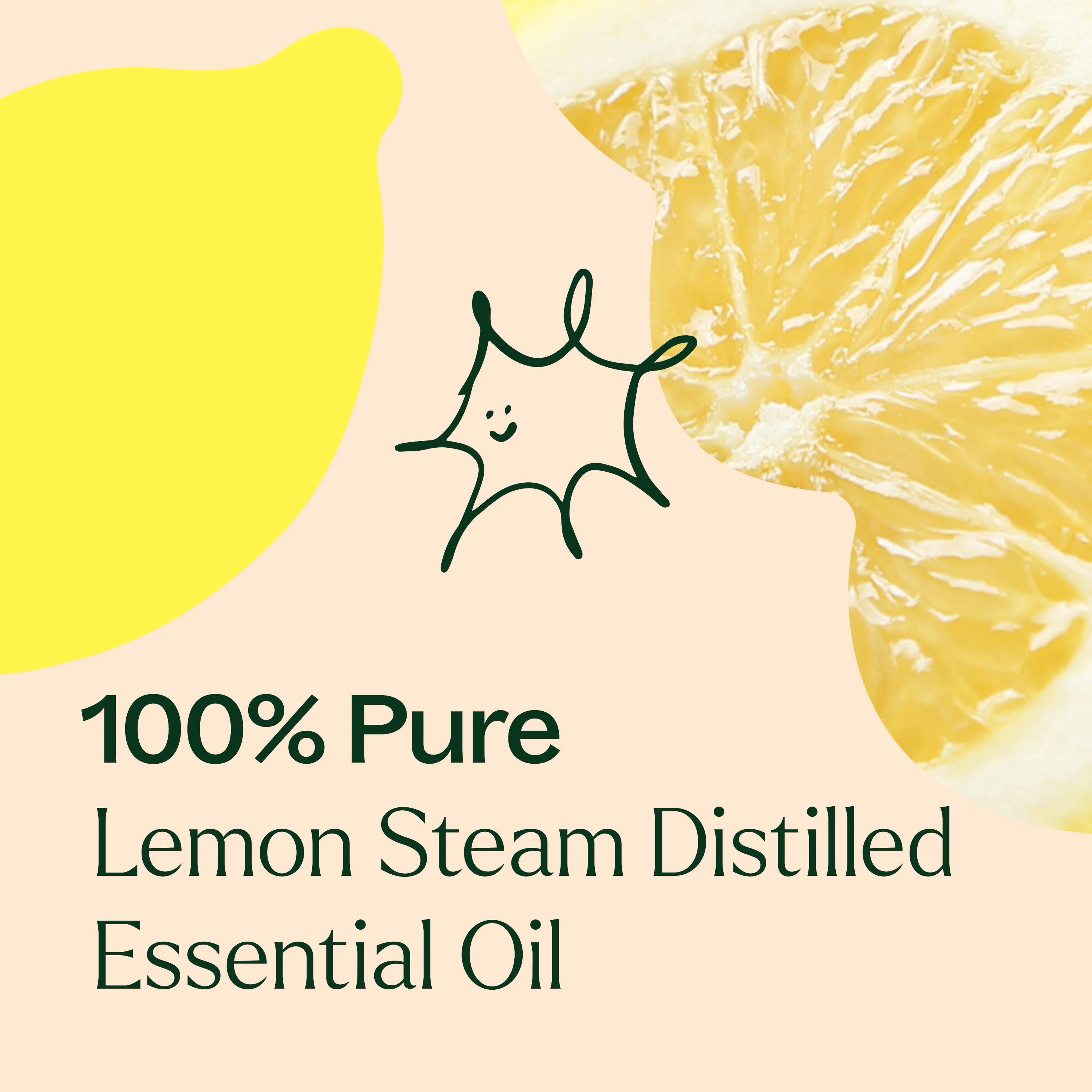 Lemon Steam Distilled Essential Oil - Image 6
