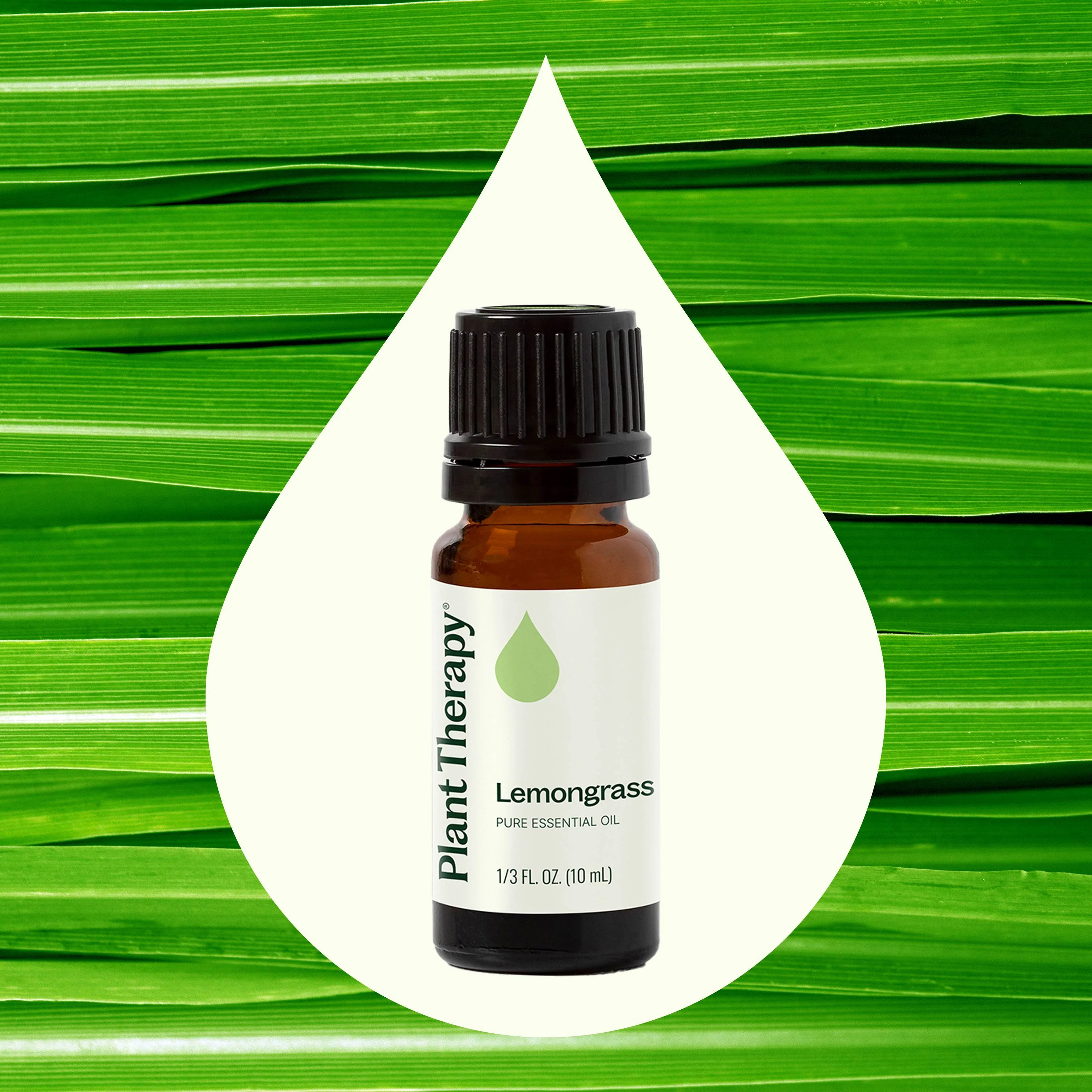 Lemongrass Essential Oil - Image 2