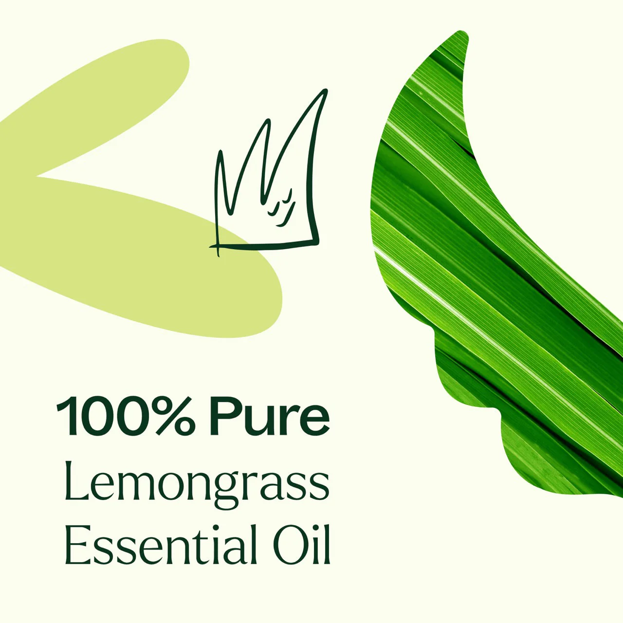 Lemongrass Essential Oil - Image 3