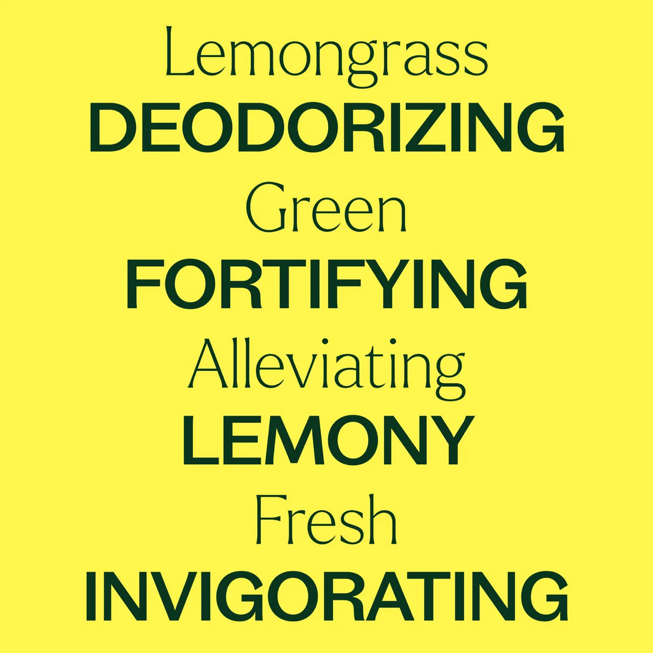 Lemongrass Essential Oil - Image 5
