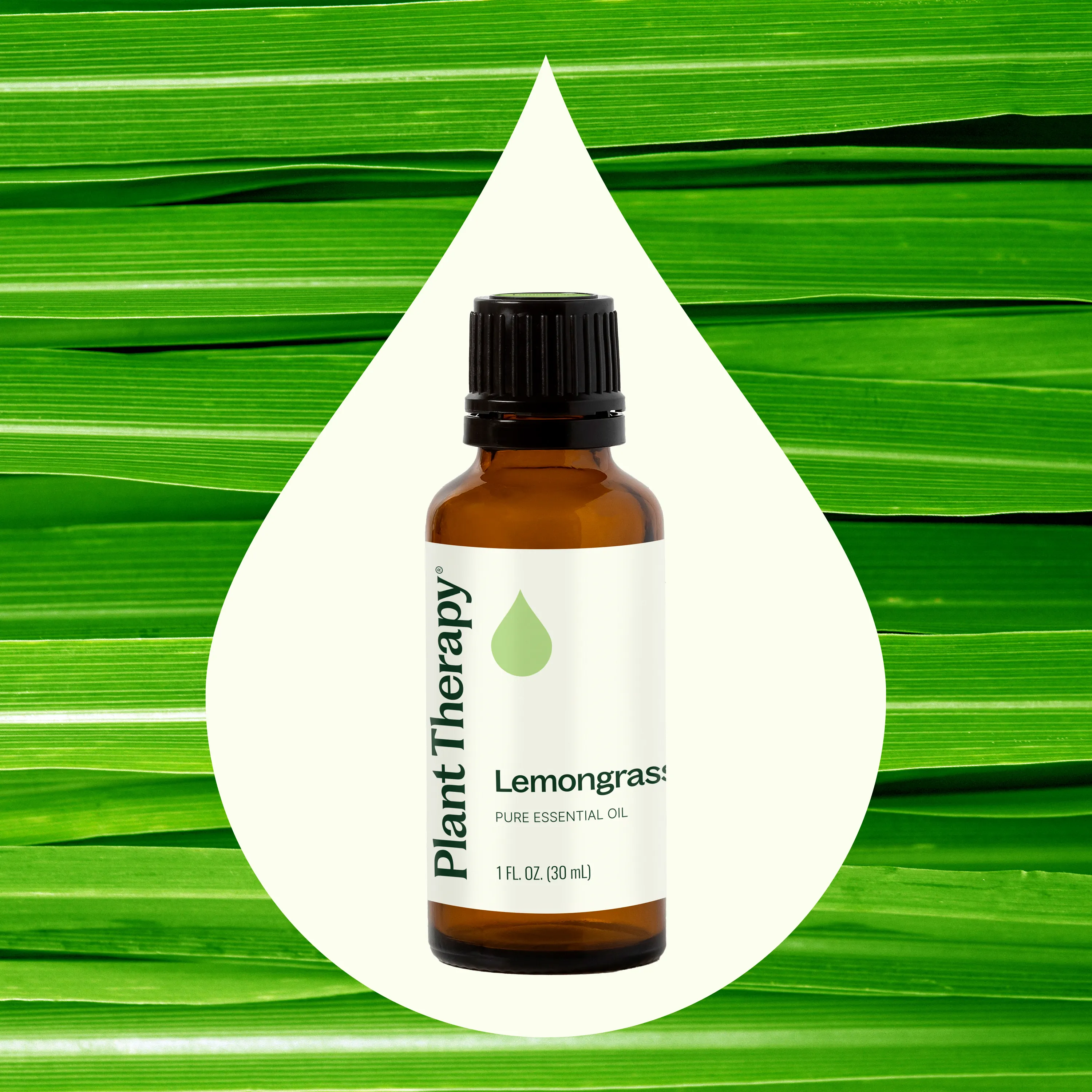 Lemongrass Essential Oil - Image 8