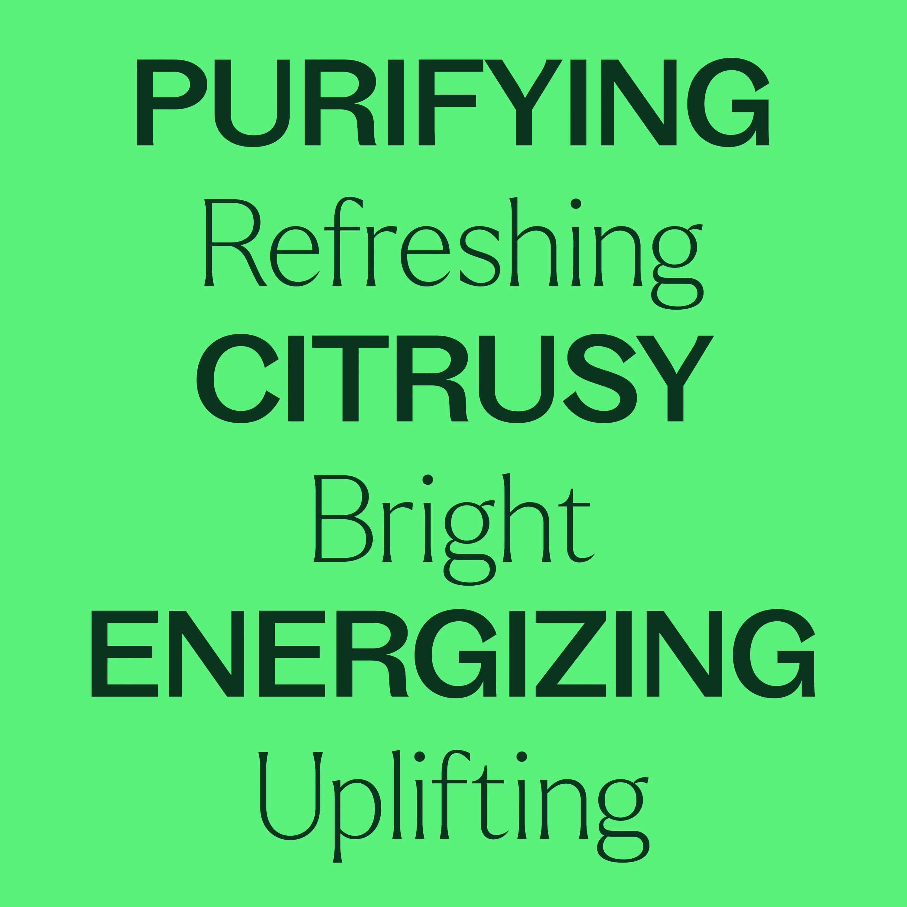 Lime Steam Distilled Essential Oil - Image 3