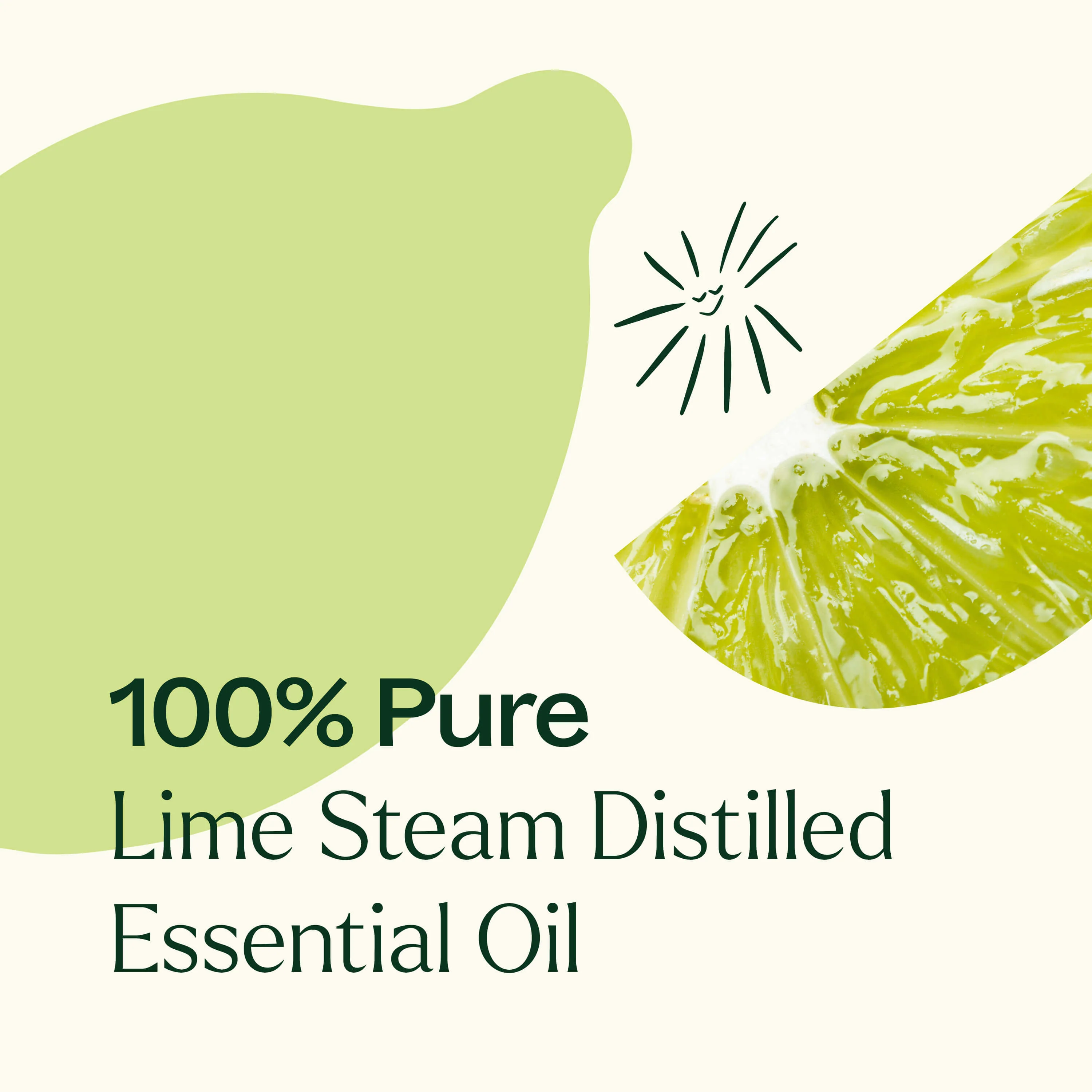 Lime Steam Distilled Essential Oil - Image 6