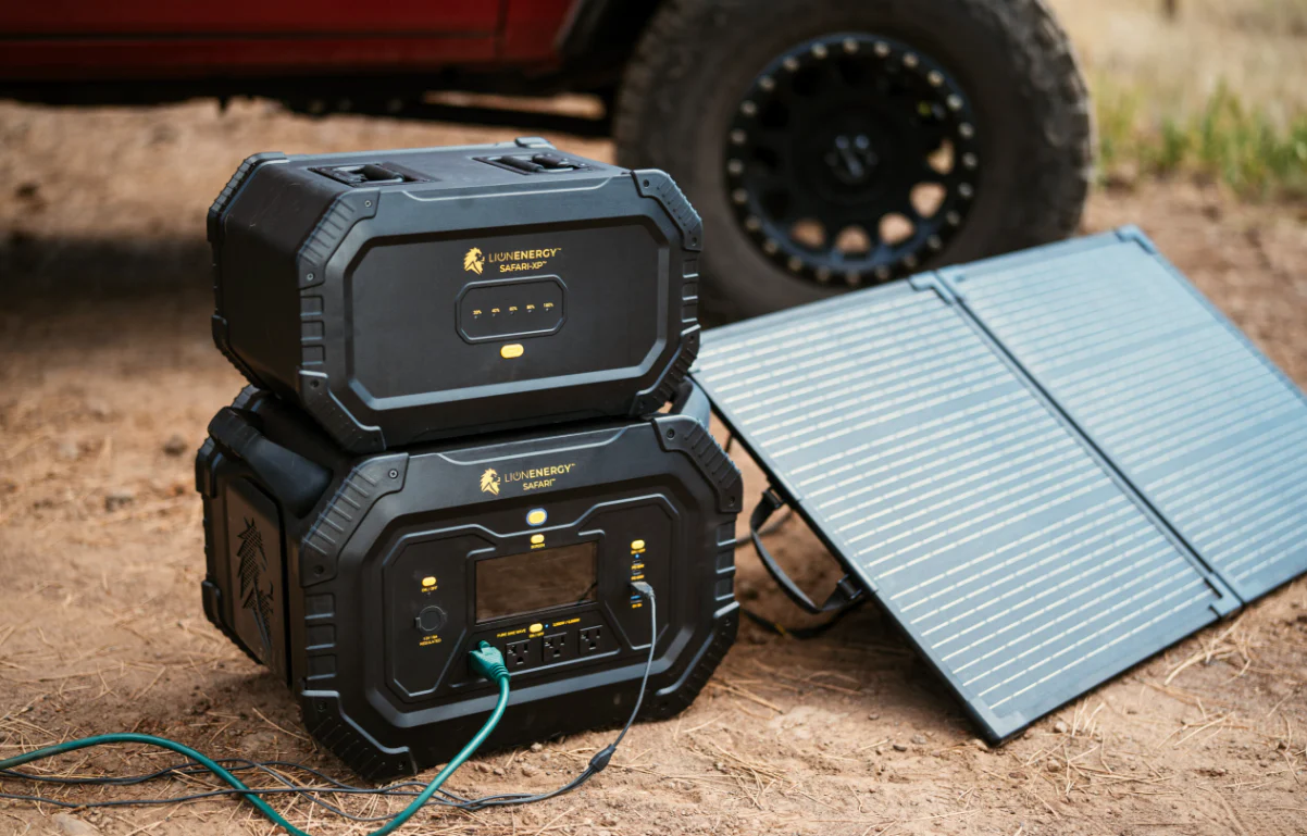 Lion Safari - Image 6