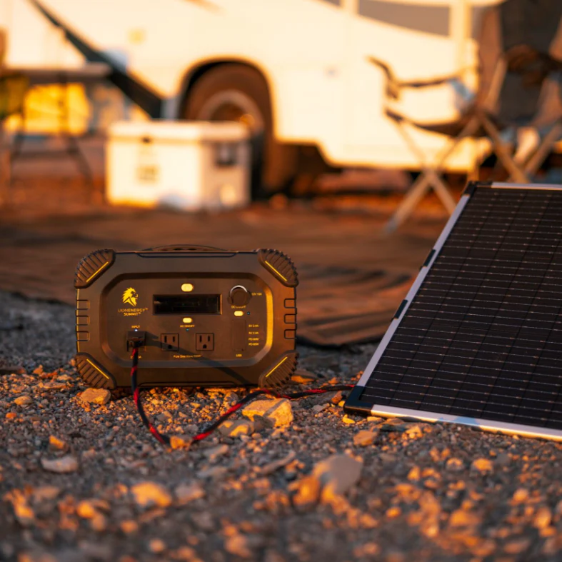 Lion Summit - Image 5