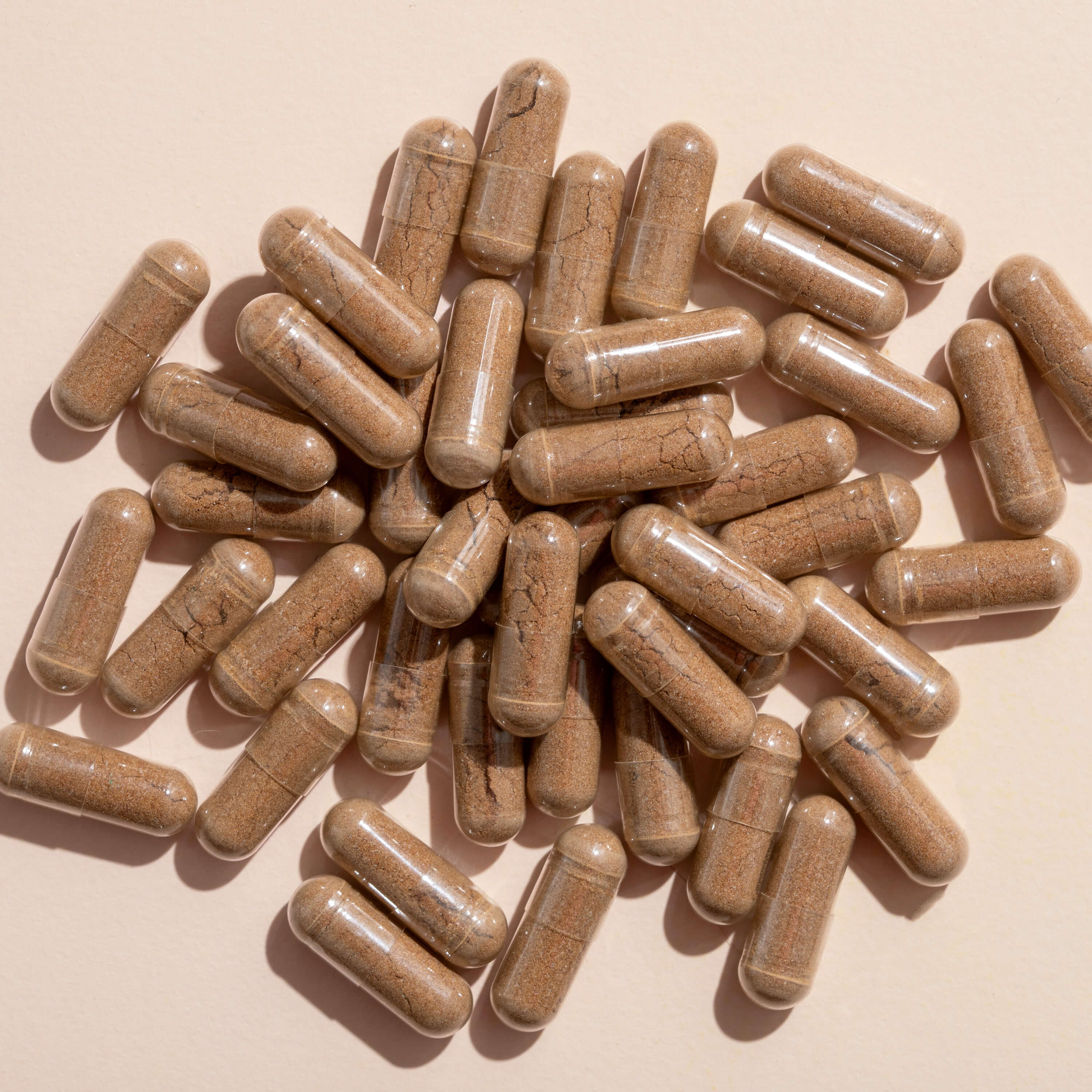 Lion's Mane Herbal Supplement - 120 Capsules - Image 9