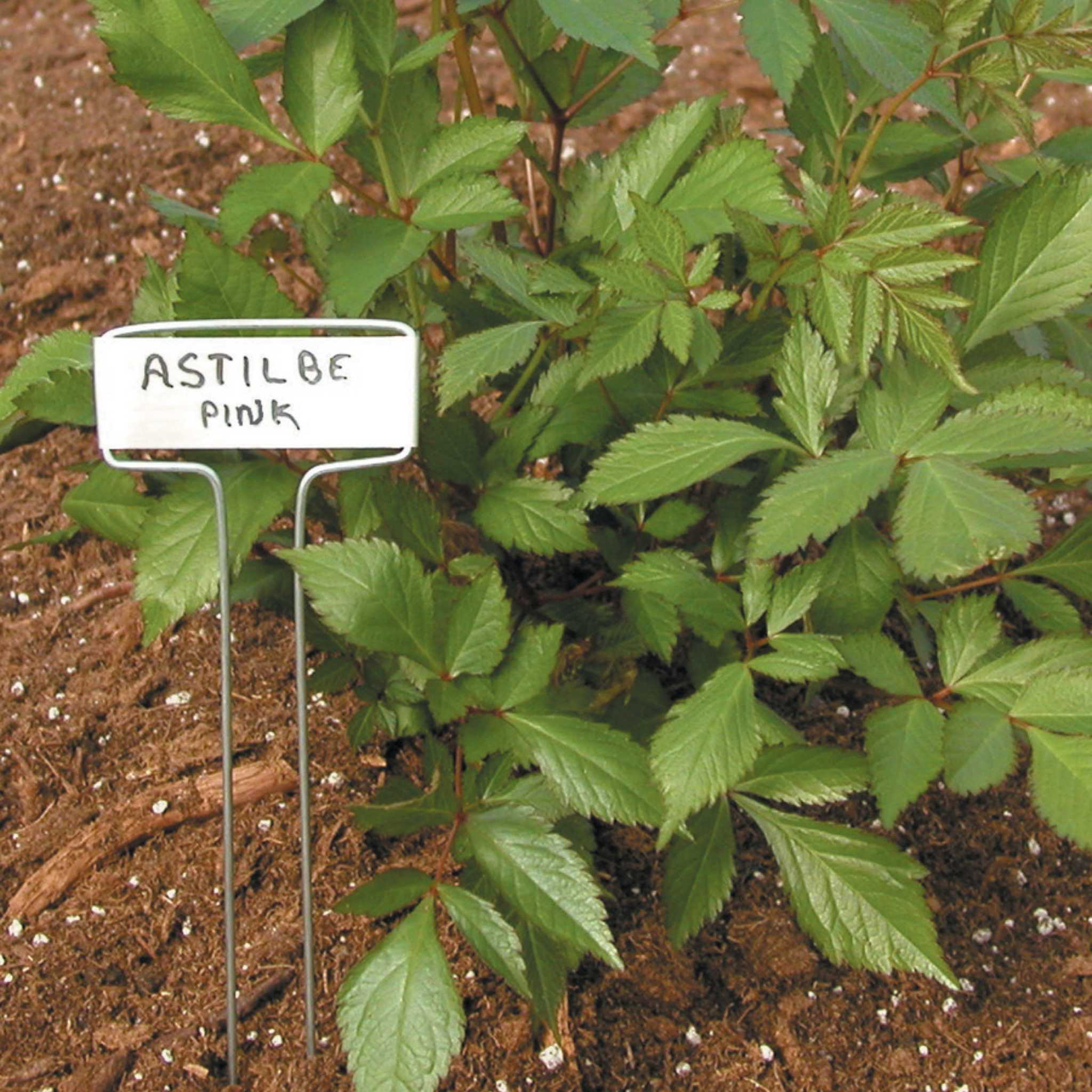 Luster Leaf Classic Impressions Garden 10" Plant Labels | Copper or Zinc 10 Pk. - Image 2