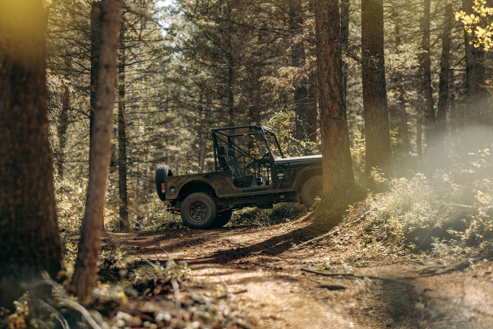 Mahindra Roxor - HD Base model - Image 10