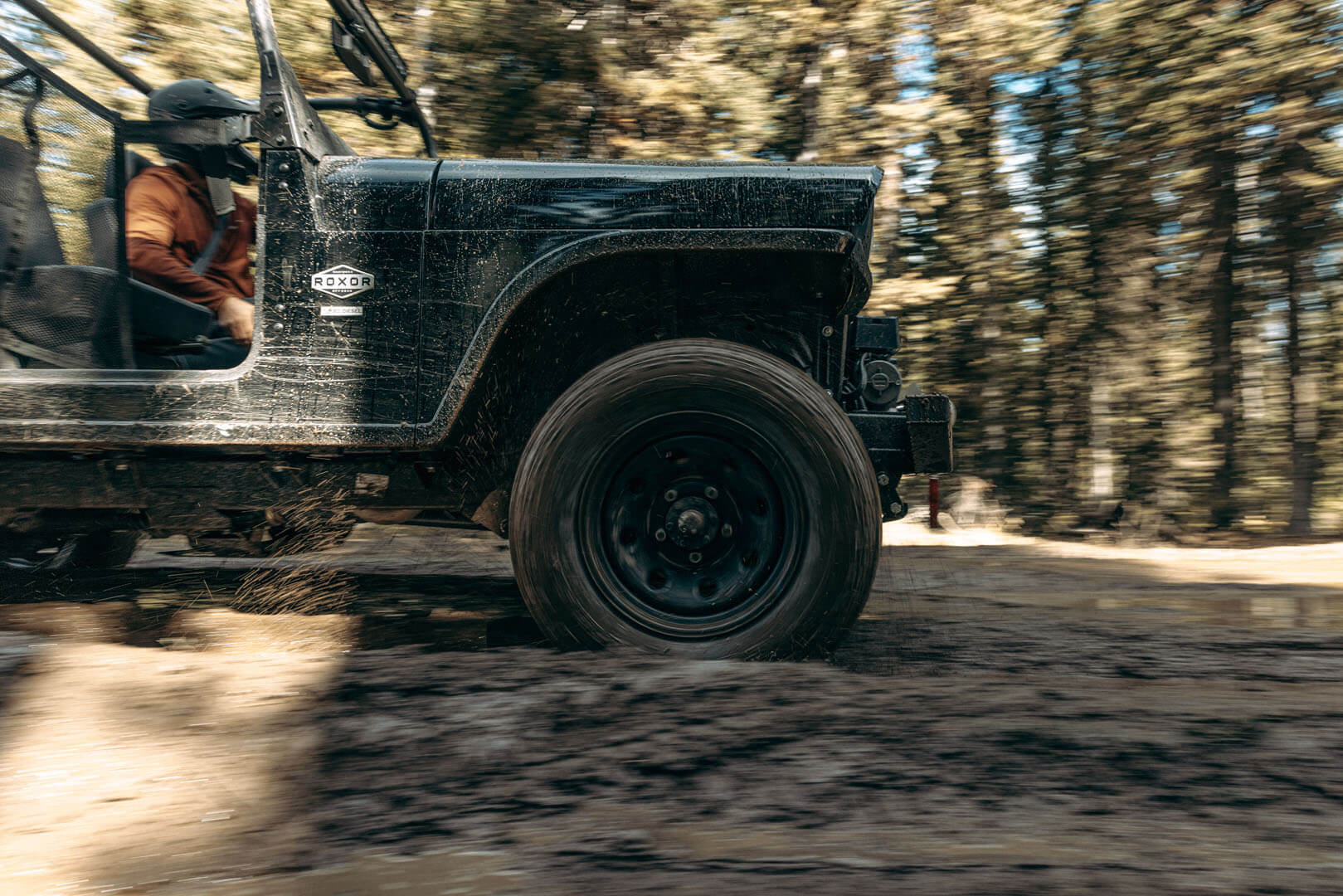 Mahindra Roxor - HD Base model - Image 9