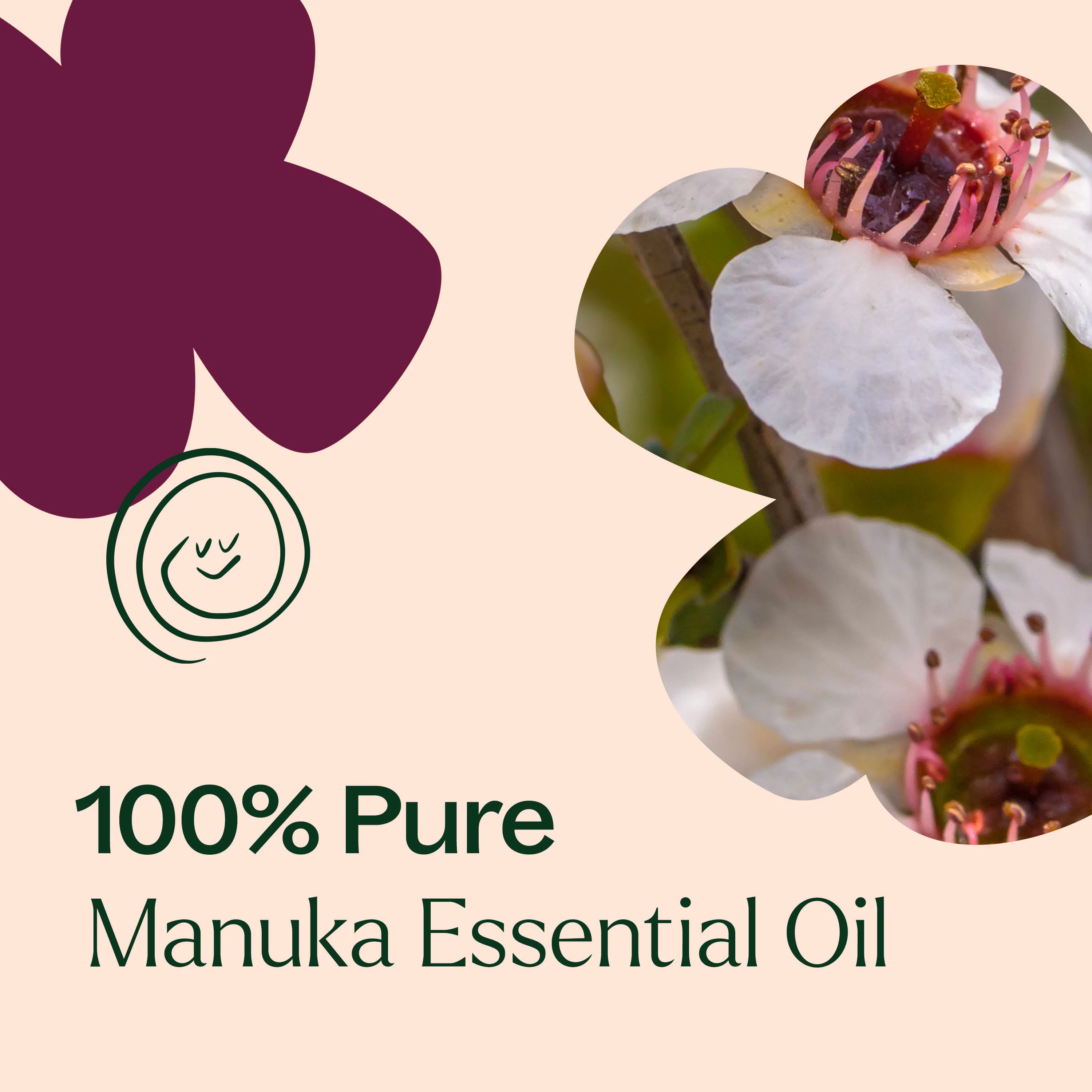 Manuka Essential Oil - Image 8
