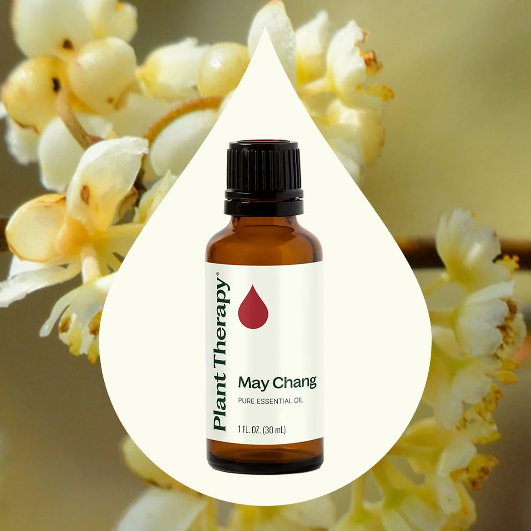 May Chang Essential Oil - Image 2