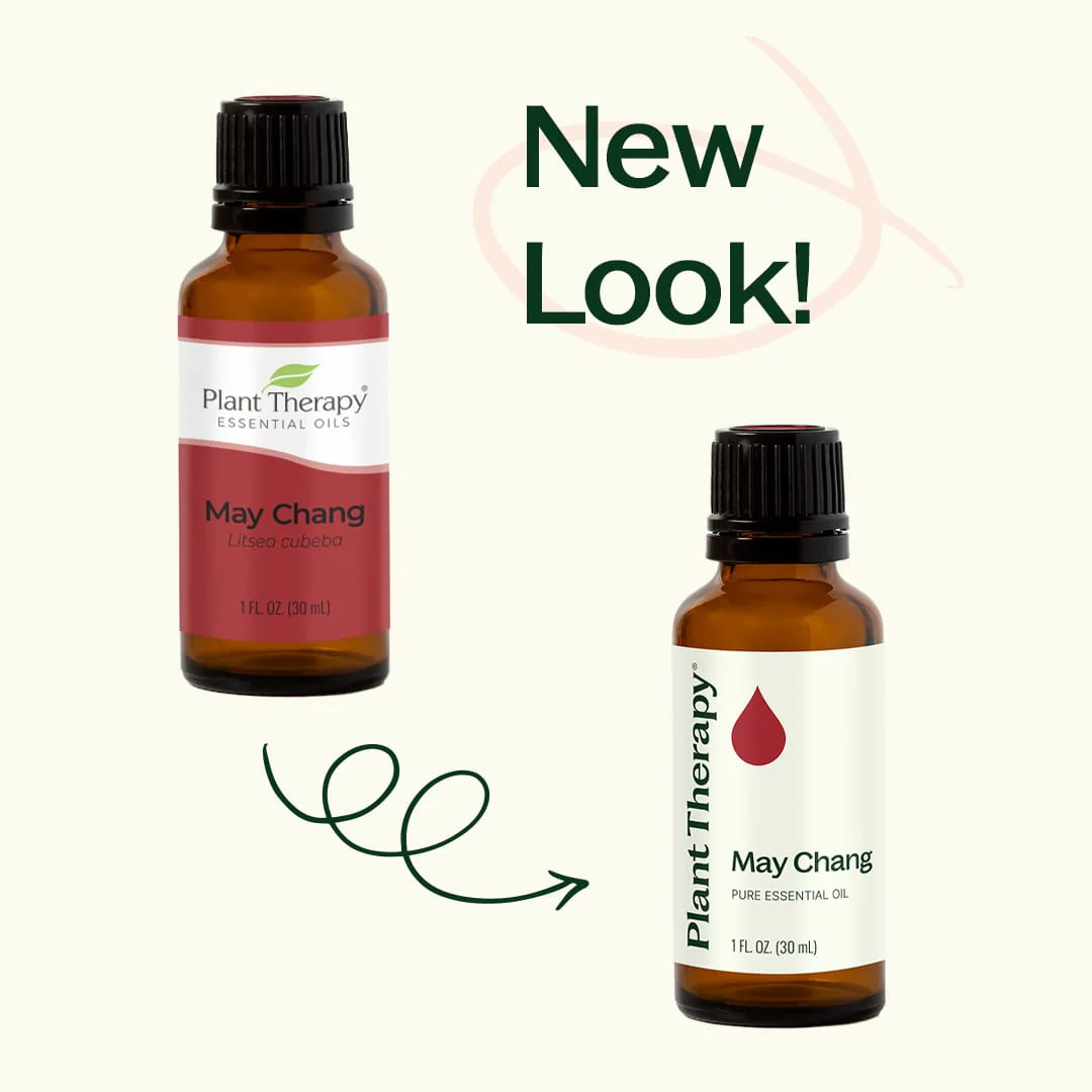 May Chang Essential Oil - Image 3