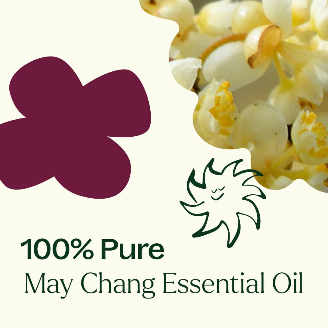 May Chang Essential Oil - Image 6