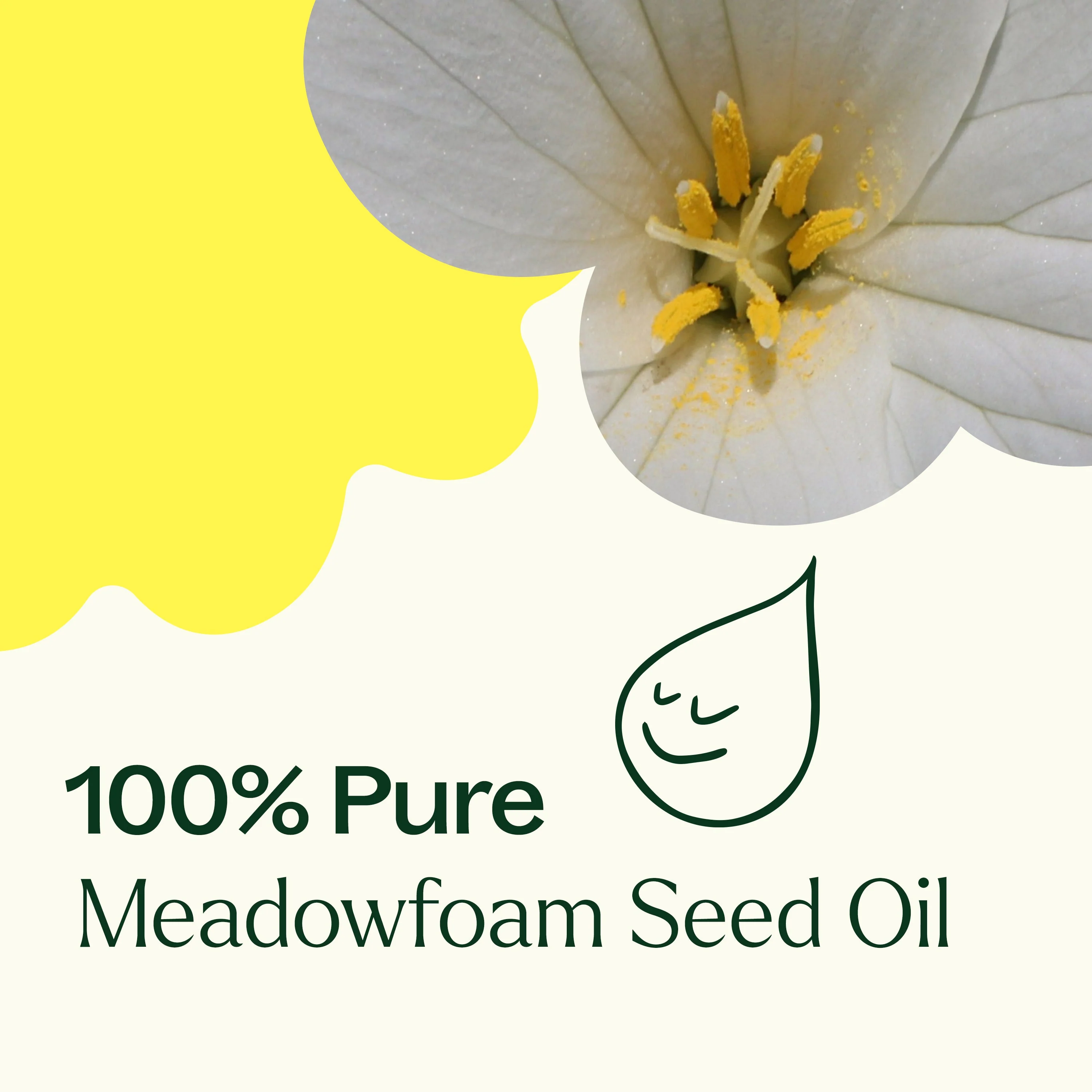 Meadowfoam Carrier Oil - Image 6