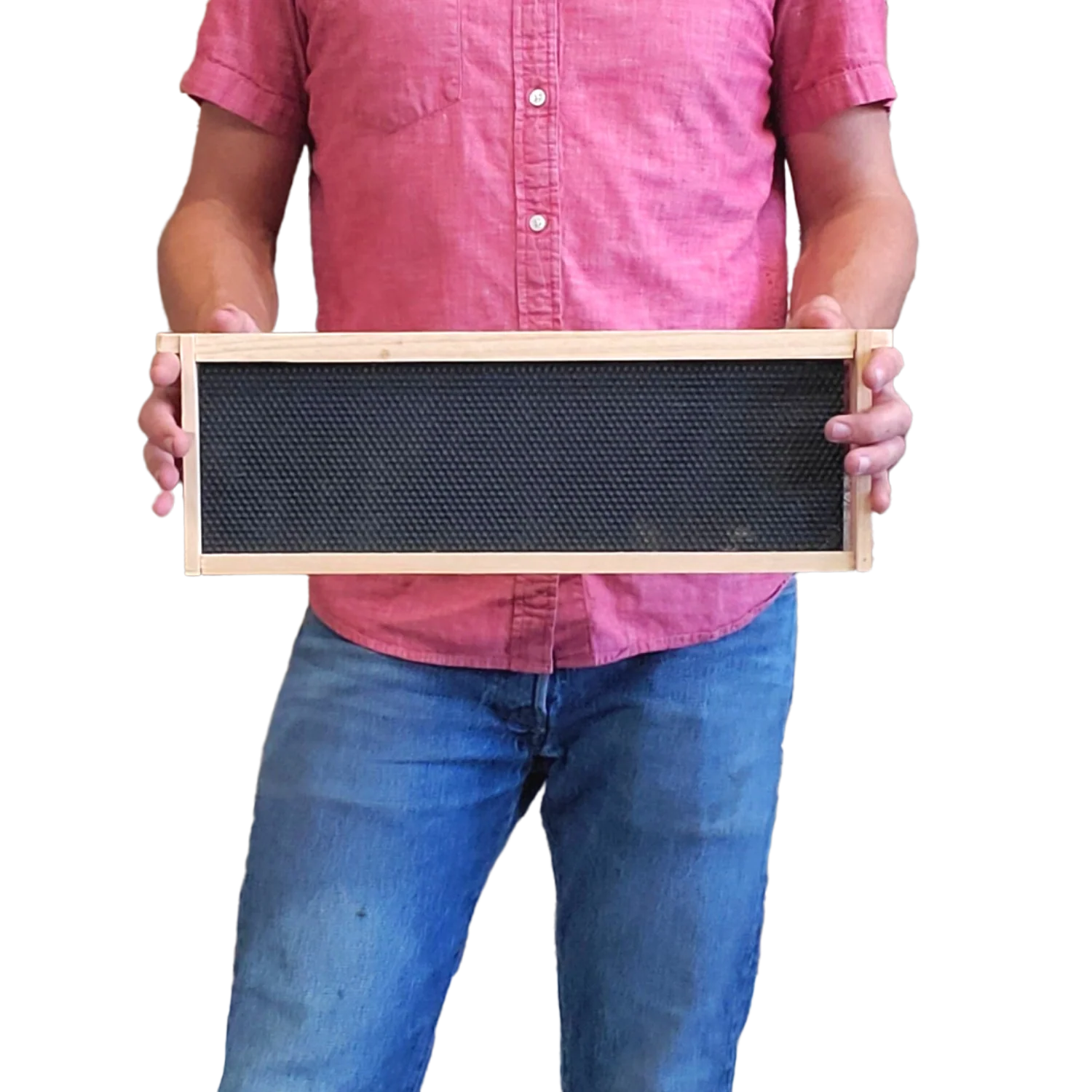 Medium 6 1/4-Inch Frame, Grooved Top / Grooved Bottom With Double Wax Foundation - Image 3