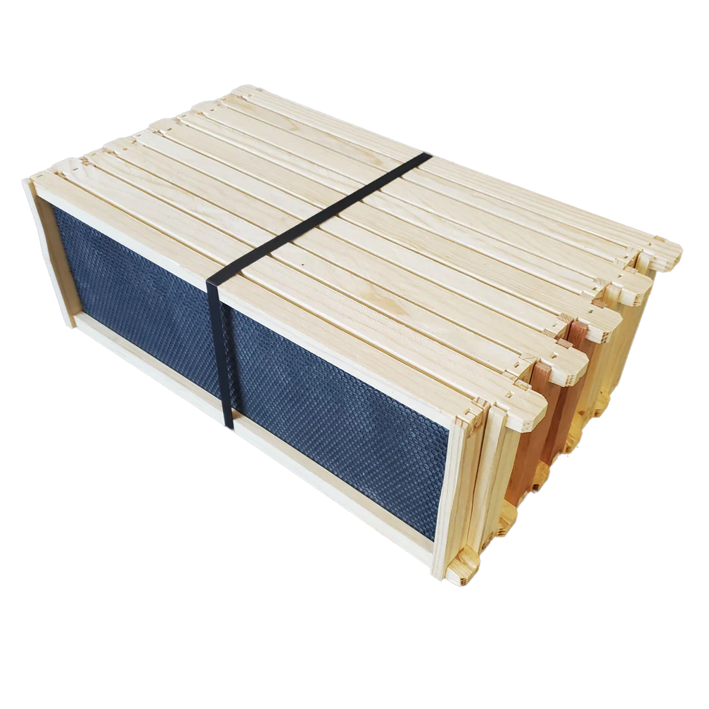 Medium 6 1/4-Inch Frame, Grooved Top / Grooved Bottom With Double Wax Foundation - Image 4