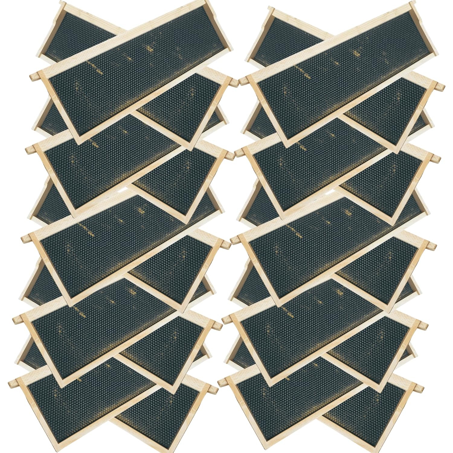 Medium 6 1/4-Inch Frame, Grooved Top / Grooved Bottom With Double Wax Foundation - Image 9