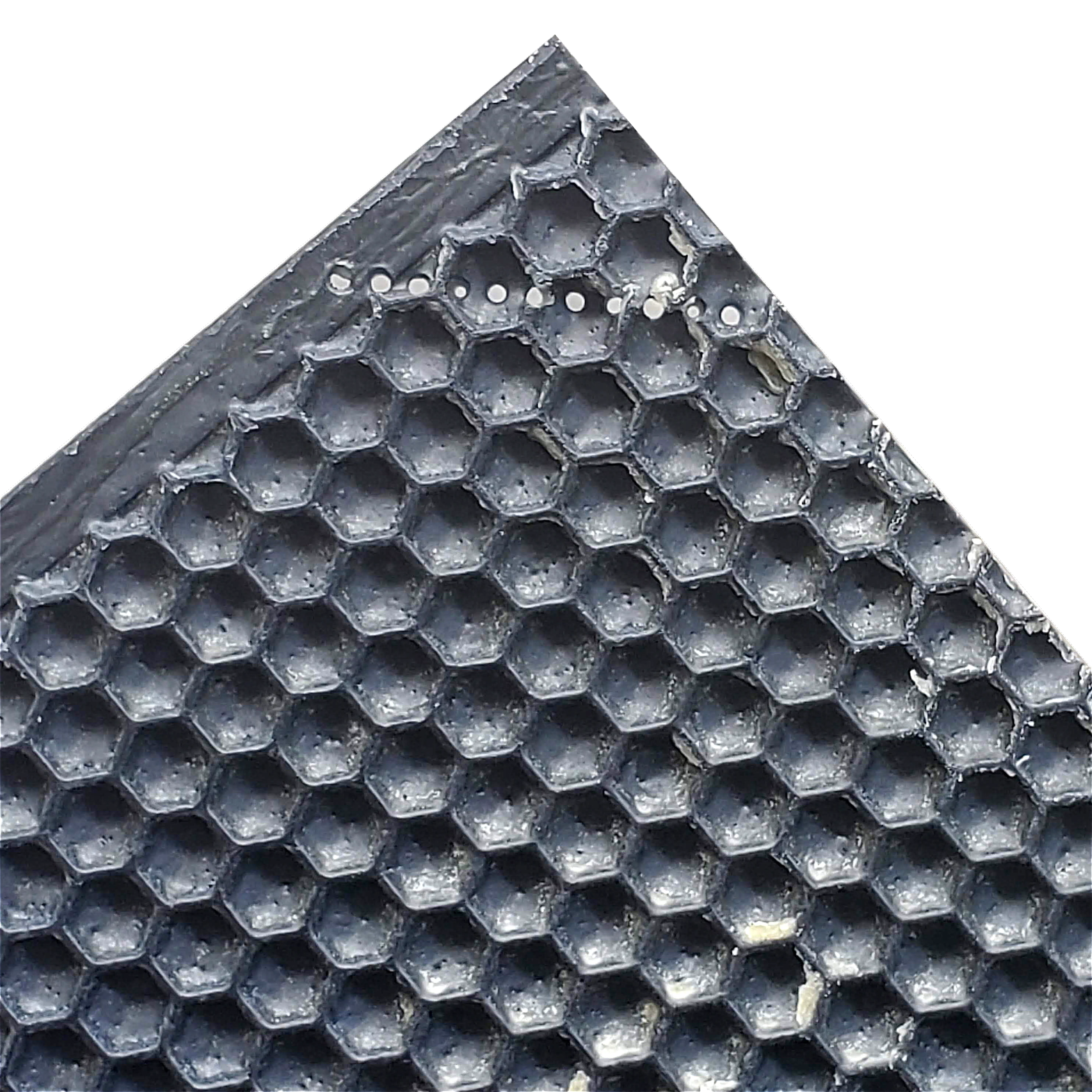 Medium, Black Plastic Foundation with Double Beeswax - Image 5