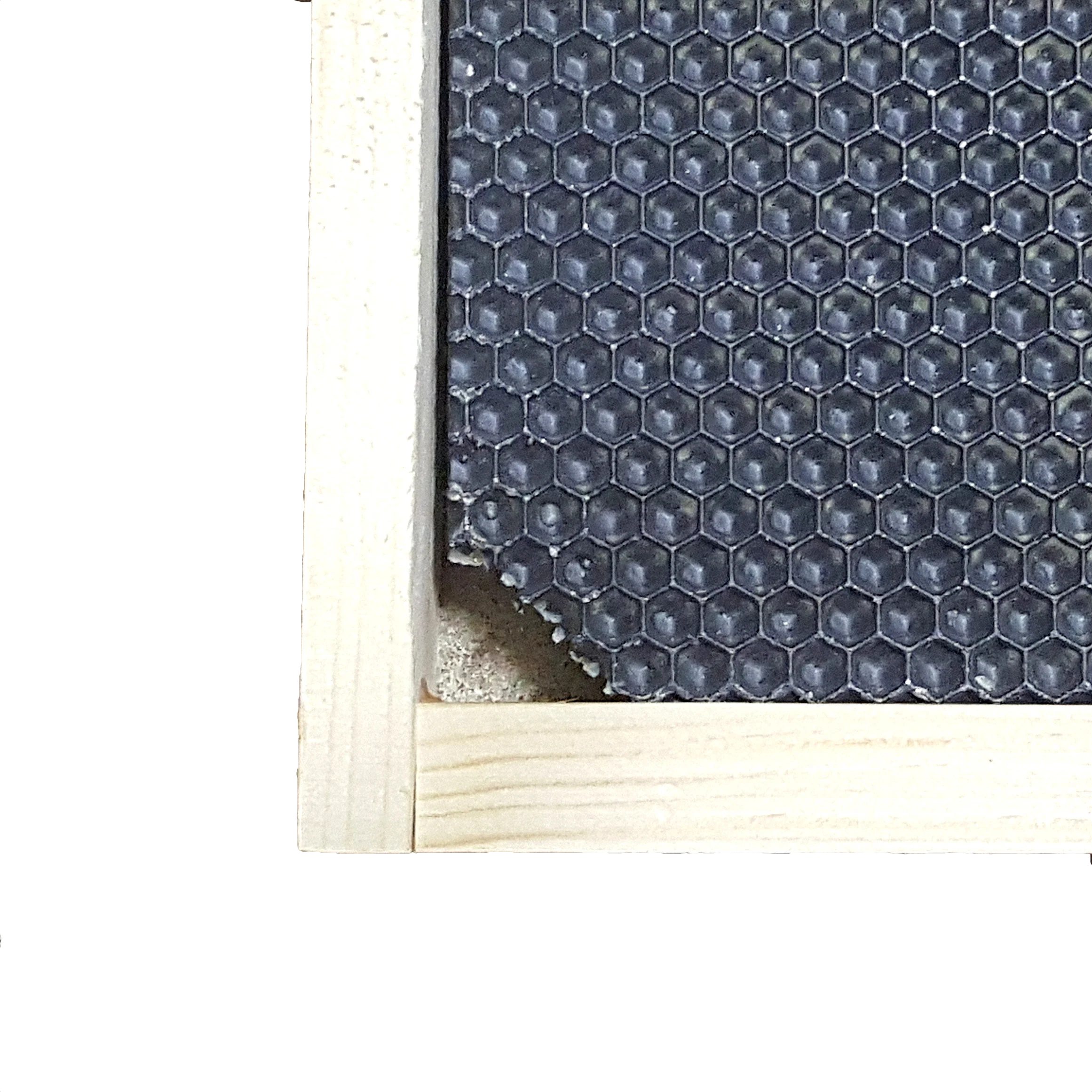 Medium, Black Plastic Foundation with Double Beeswax - Image 6